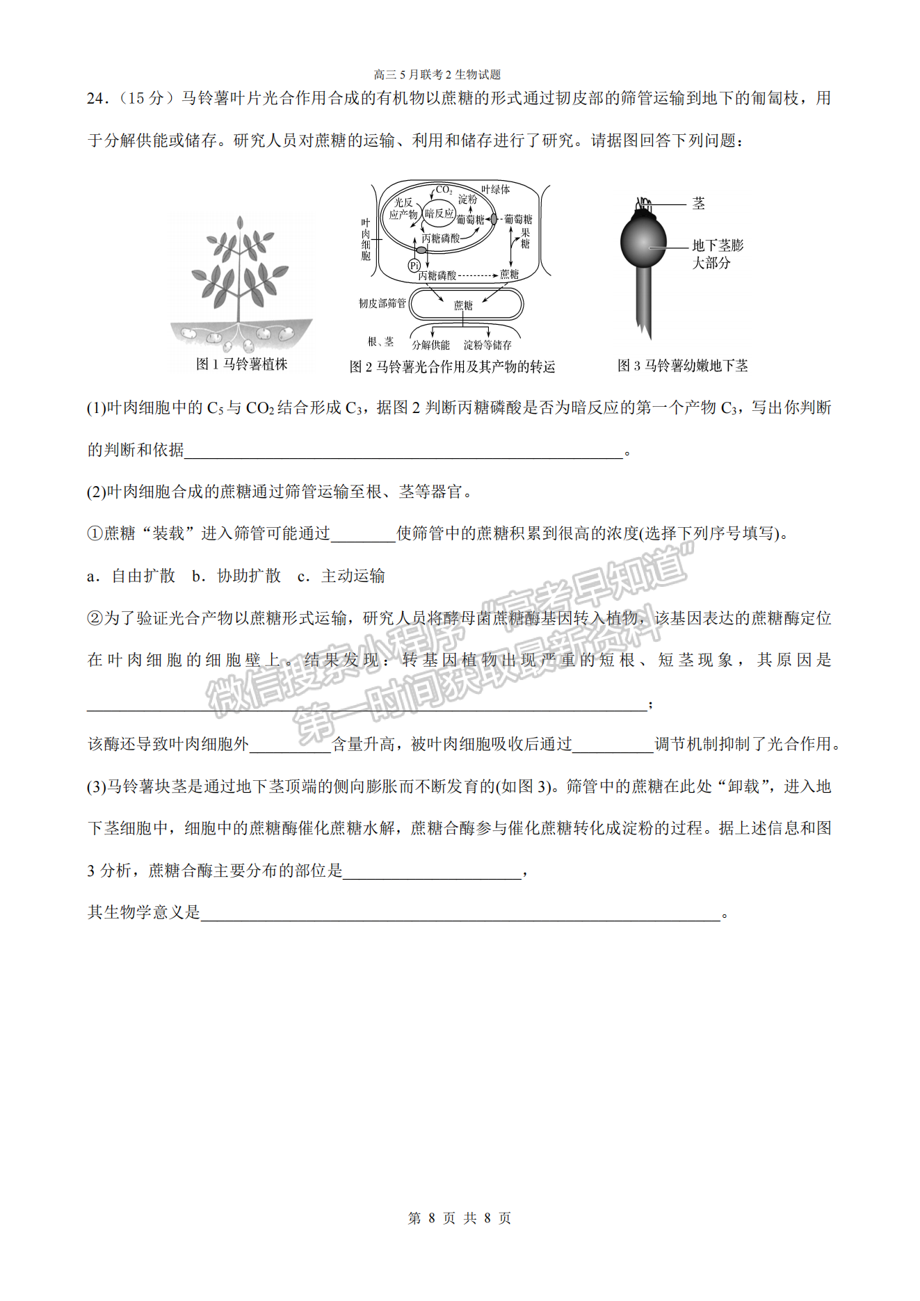 2022湖北四校模擬聯(lián)考（二）生物試卷及答案