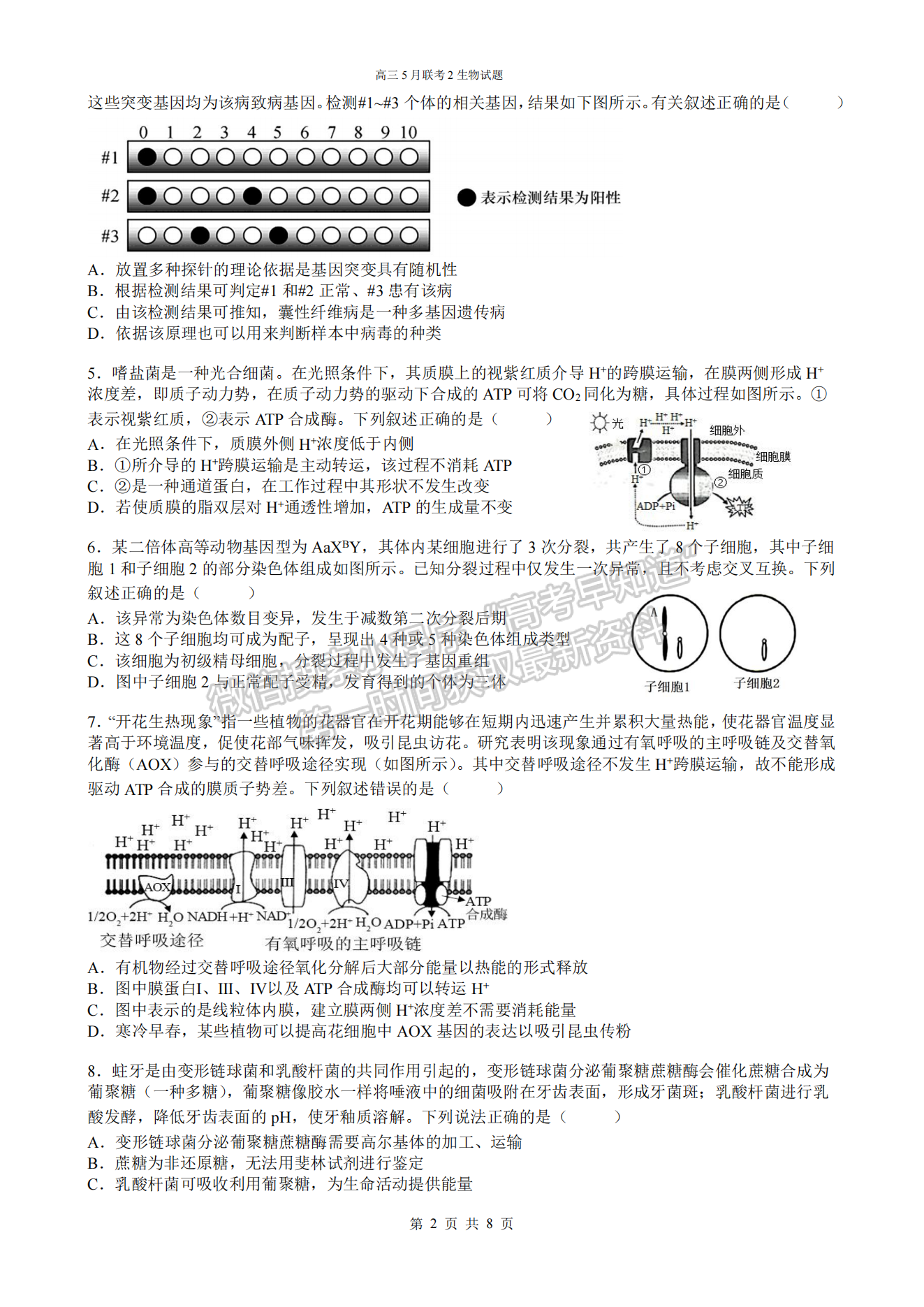 2022湖北四校模擬聯考（二）生物試卷及答案