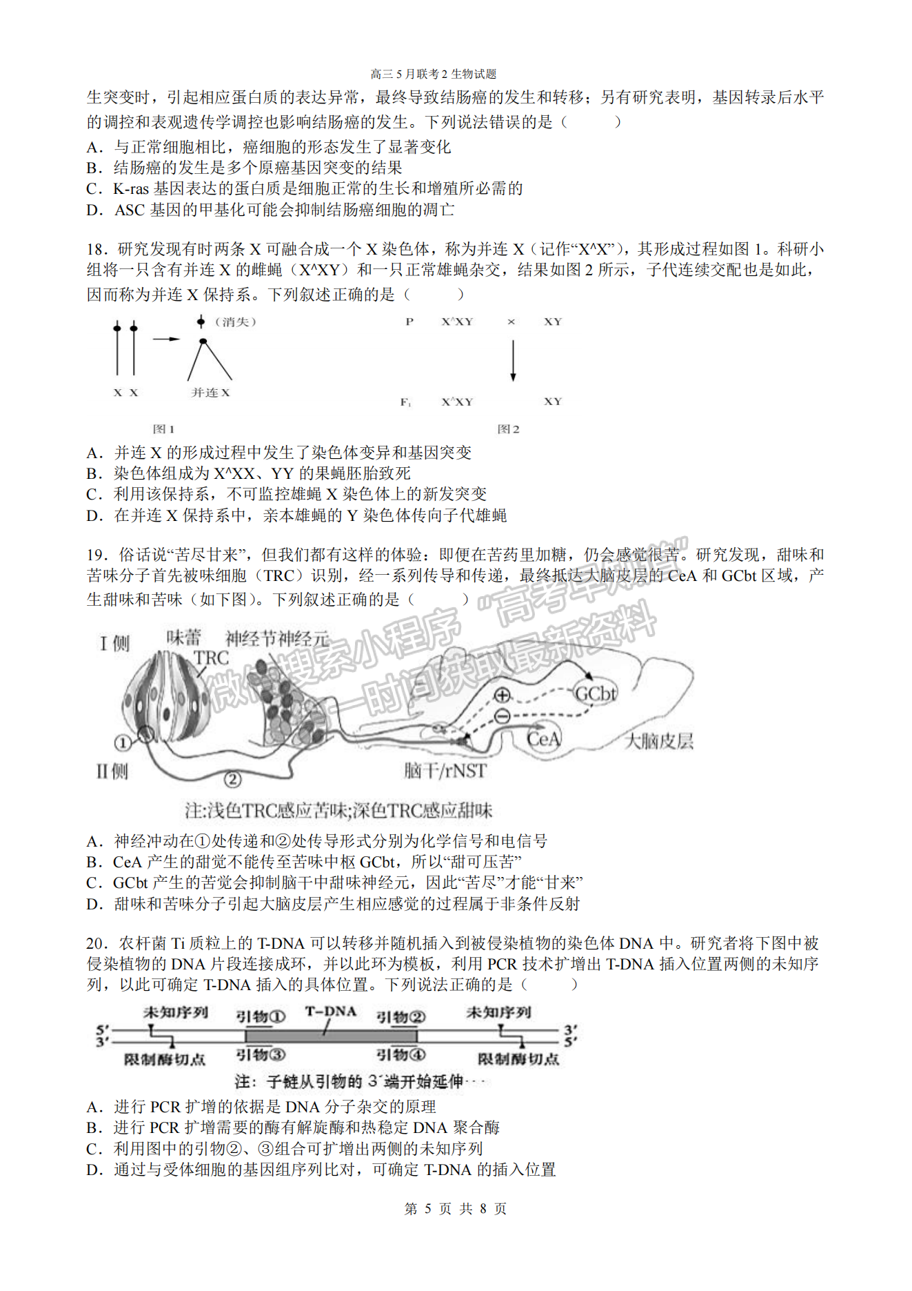 2022湖北四校模擬聯(lián)考（二）生物試卷及答案