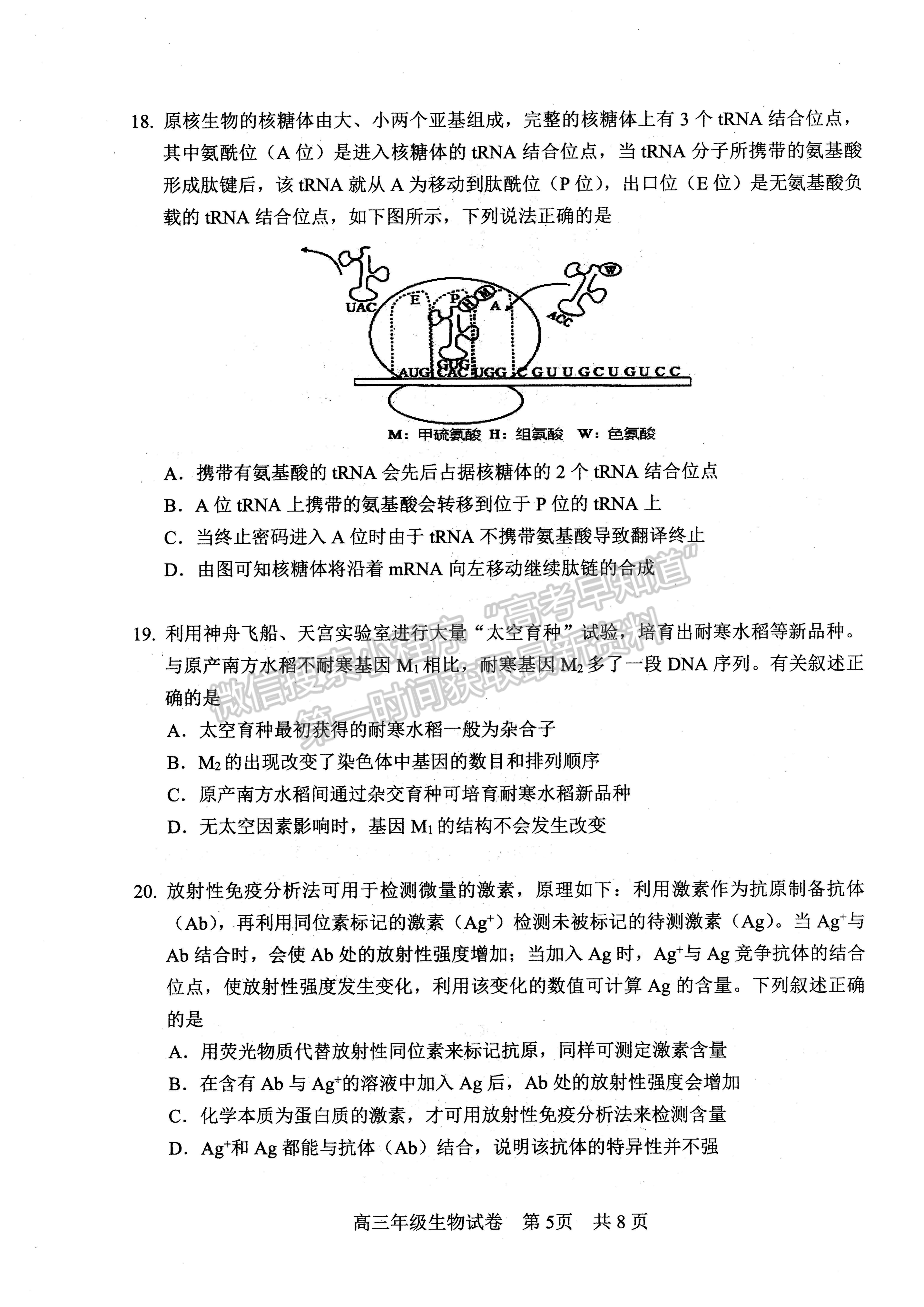 2022湖北武昌區(qū)5月質量檢測生物試卷及答案