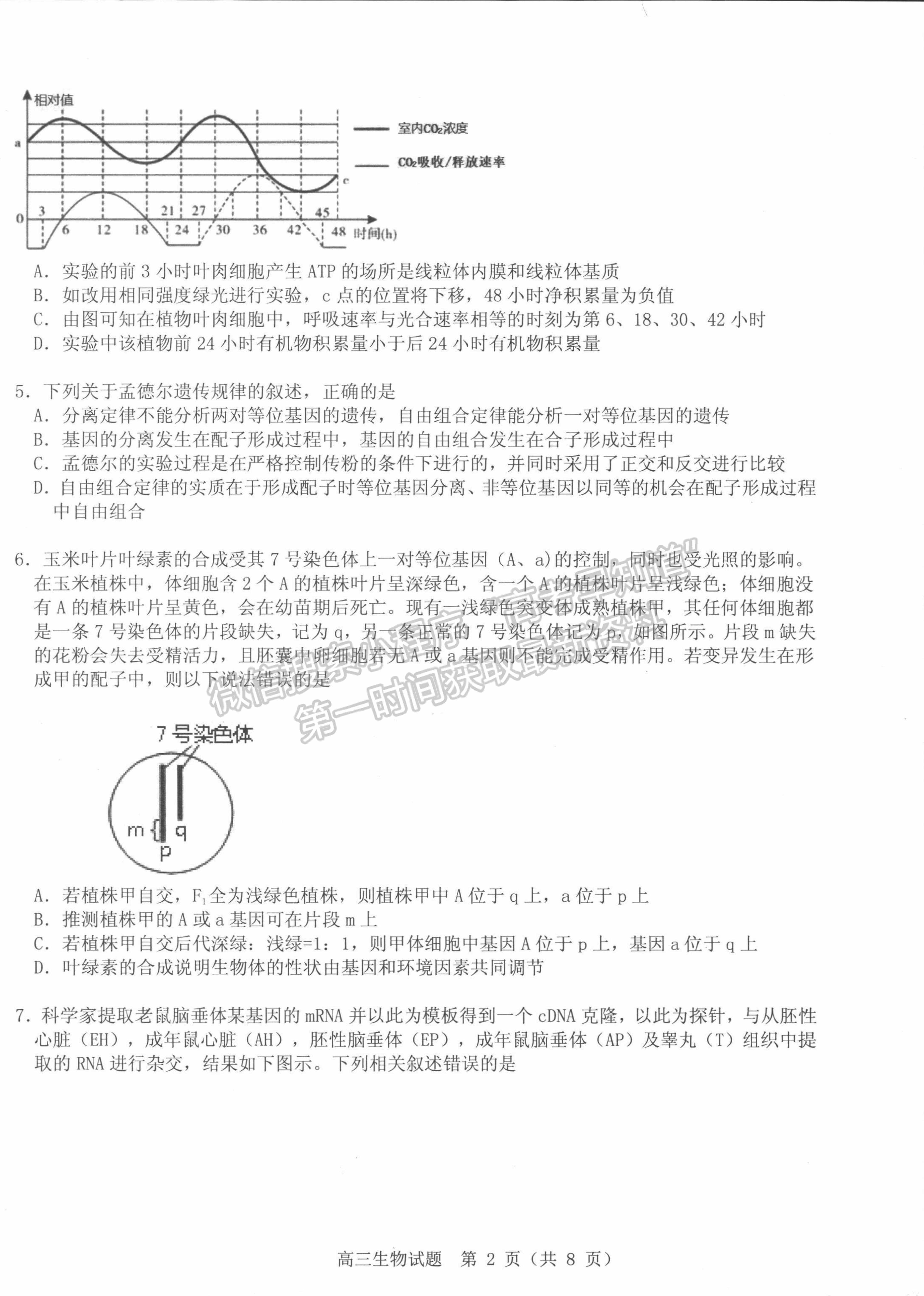 2022山東中學(xué)聯(lián)盟考前熱身押題考試生物試題及參考答案