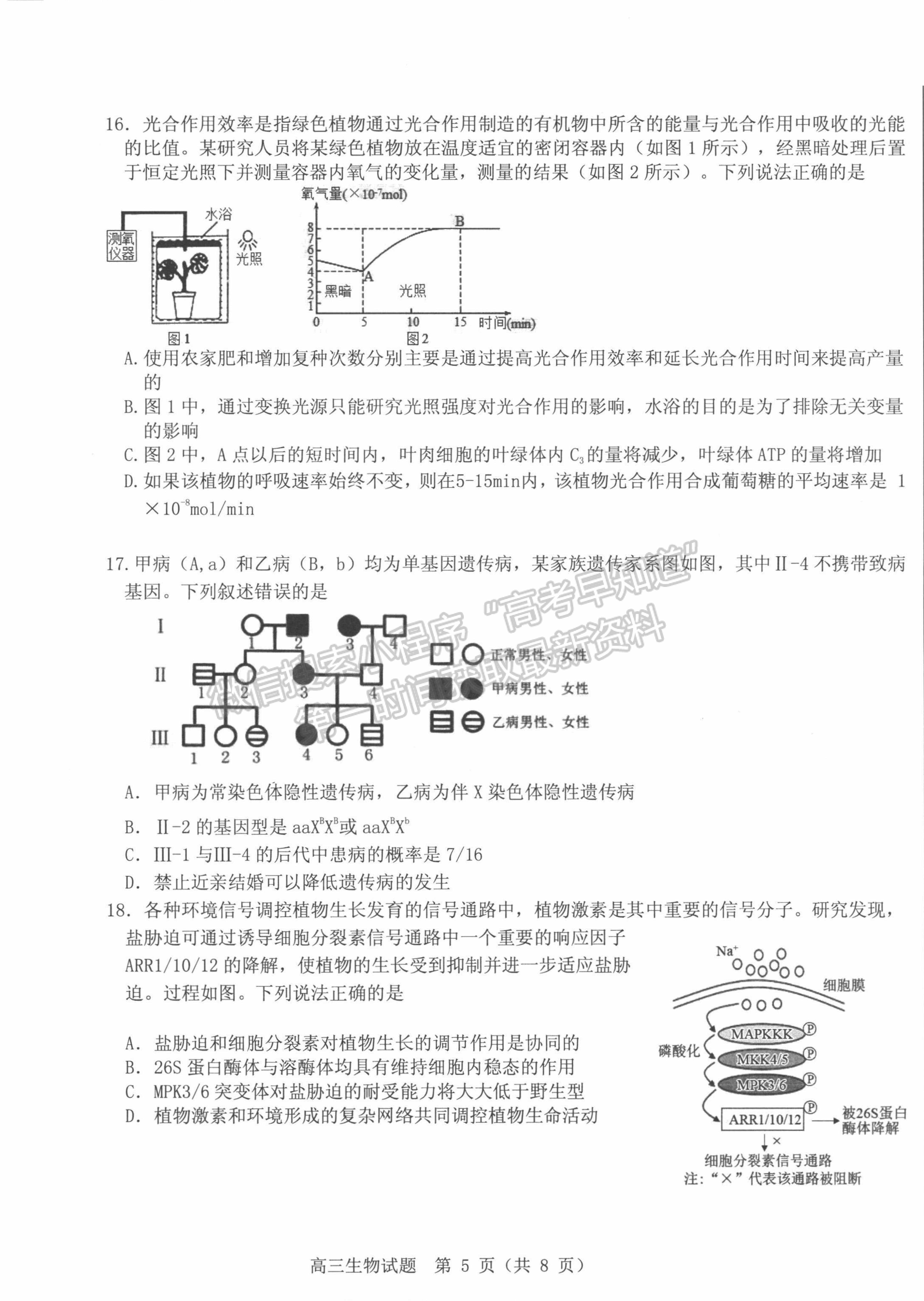 2022山東中學(xué)聯(lián)盟考前熱身押題考試生物試題及參考答案