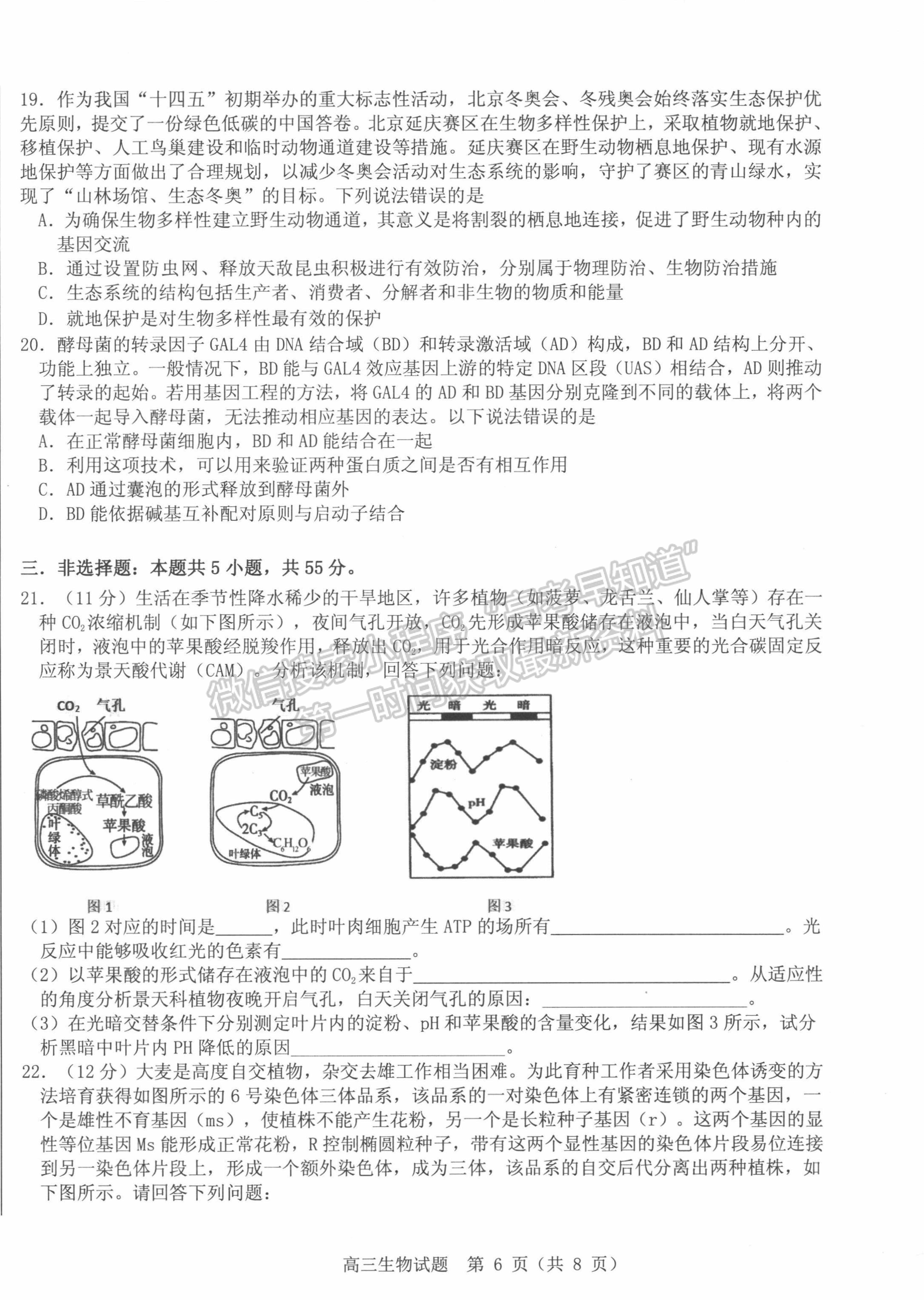 2022山東中學(xué)聯(lián)盟考前熱身押題考試生物試題及參考答案