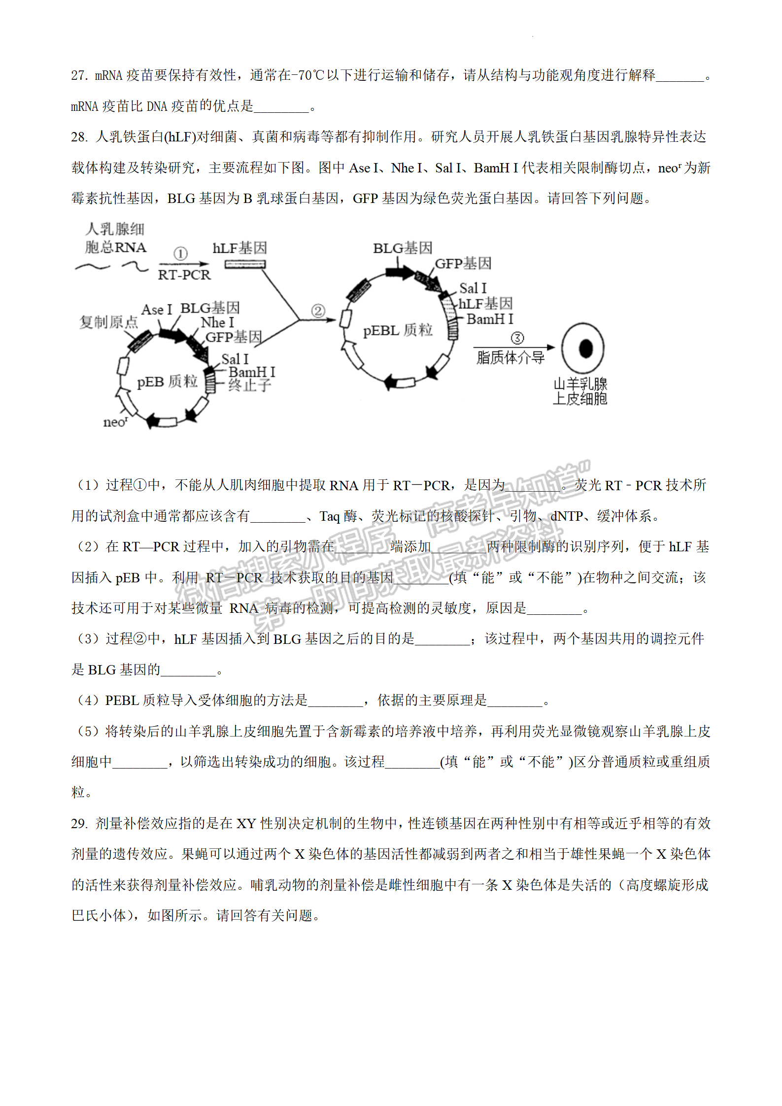 2022江蘇省連云港市高考考前模擬考試（二）生物試題及答案