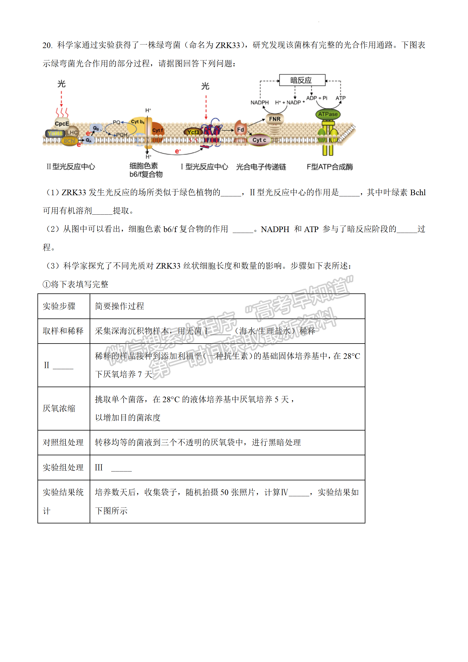 2022江蘇省連云港市高考考前模擬考試（一）生物試題及答案