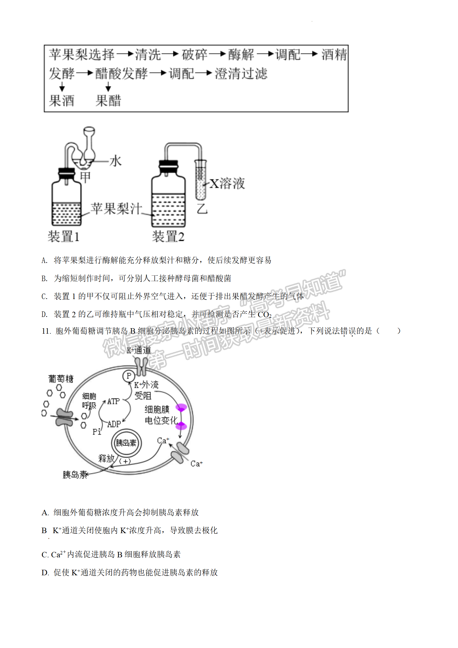 2022江蘇省連云港市高考考前模擬考試（二）生物試題及答案