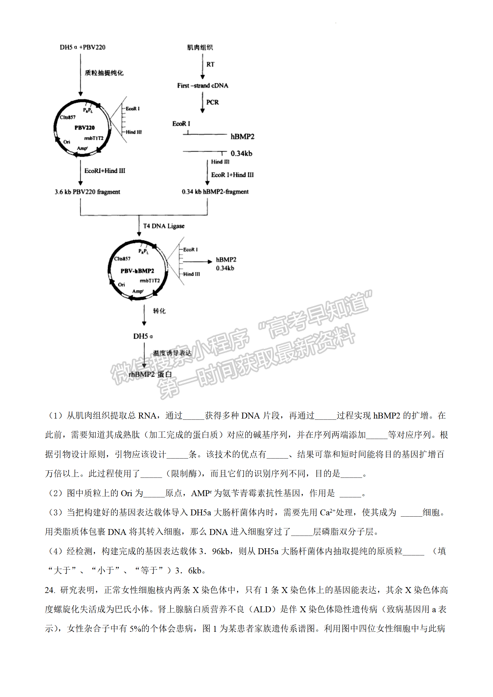 2022江蘇省連云港市高考考前模擬考試（一）生物試題及答案