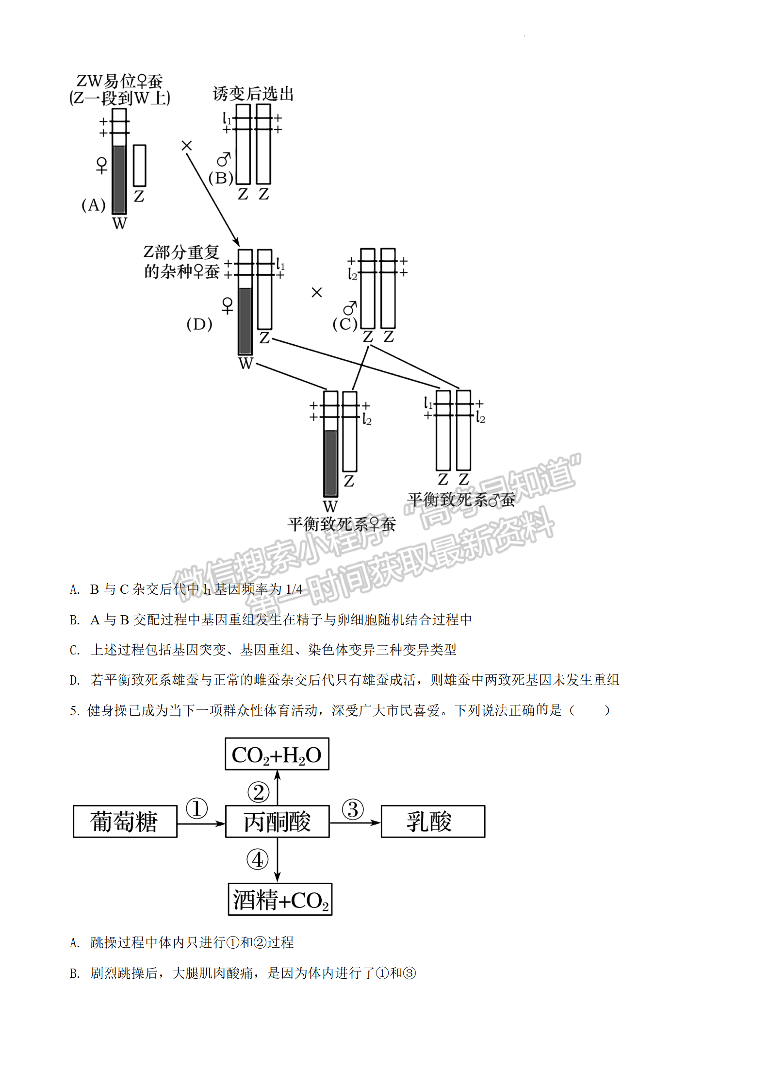 2022江蘇省連云港市高考考前模擬考試（一）生物試題及答案