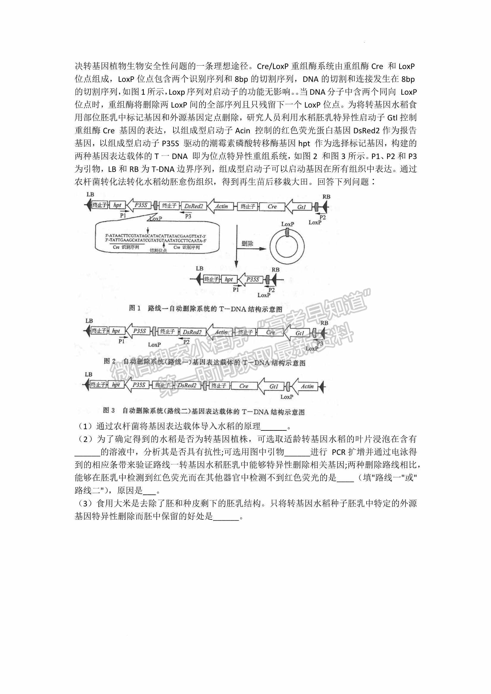 2022山東濟南三模生物試題及參考答案