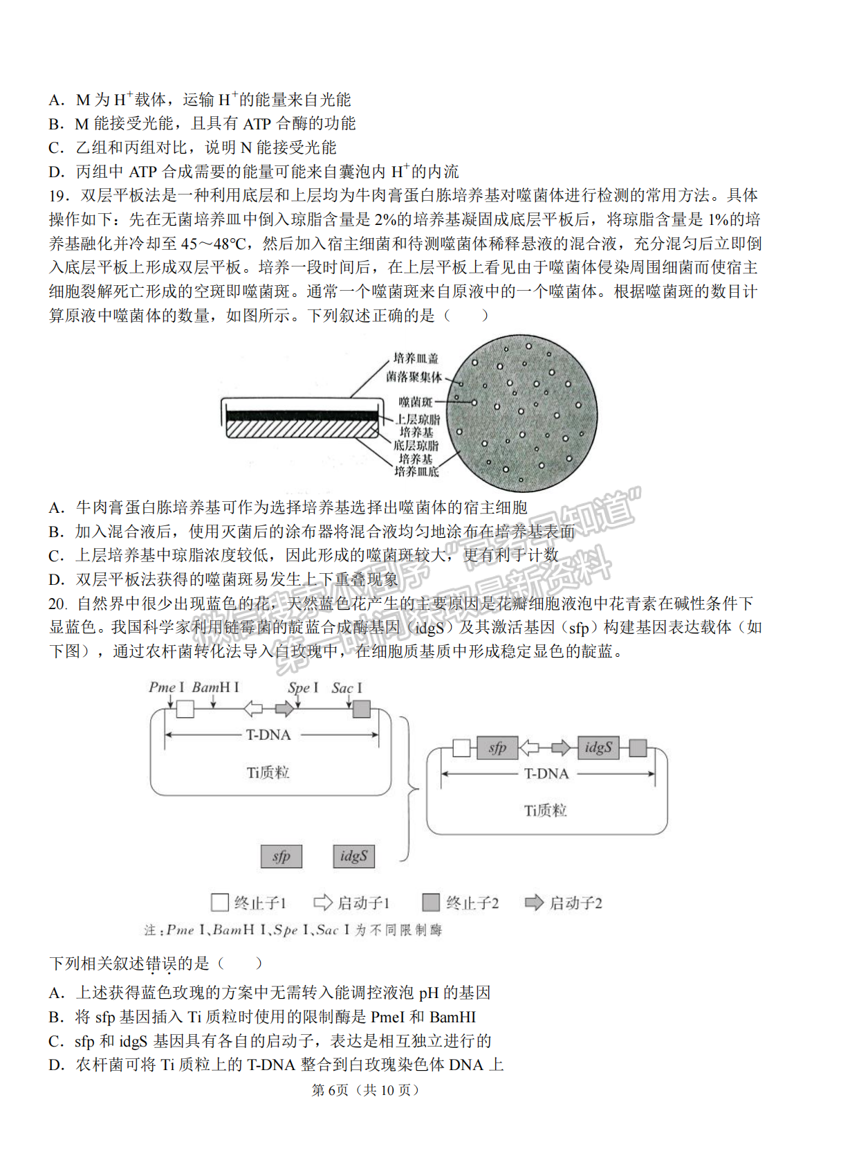 2022湖北襄陽五中適應(yīng)性考試（一）生物試卷及答案