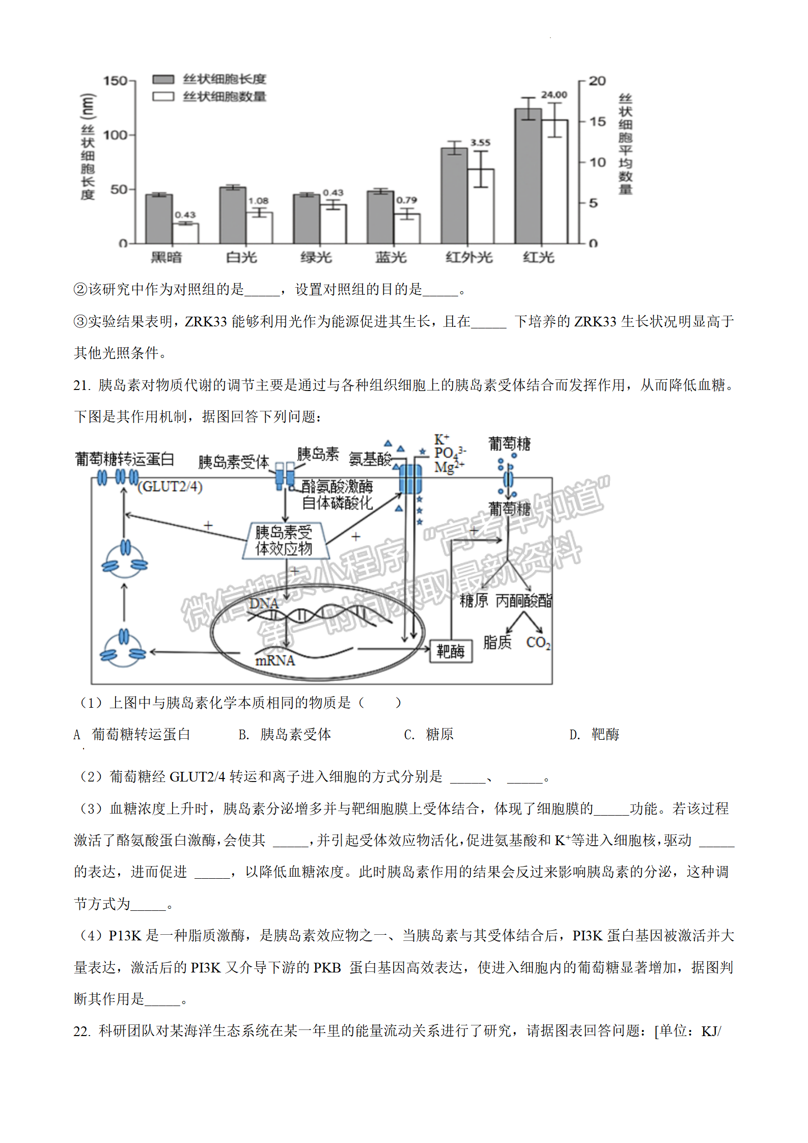 2022江蘇省連云港市高考考前模擬考試（一）生物試題及答案