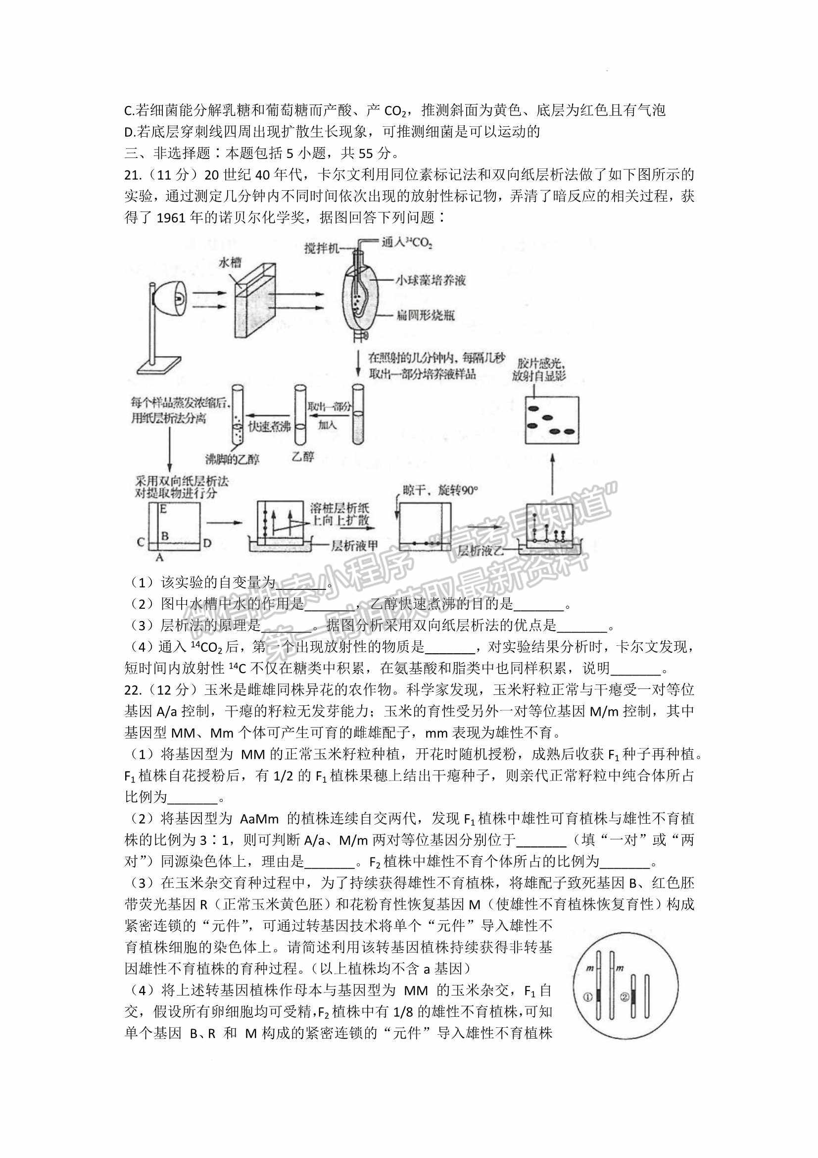 2022山東濟南三模生物試題及參考答案