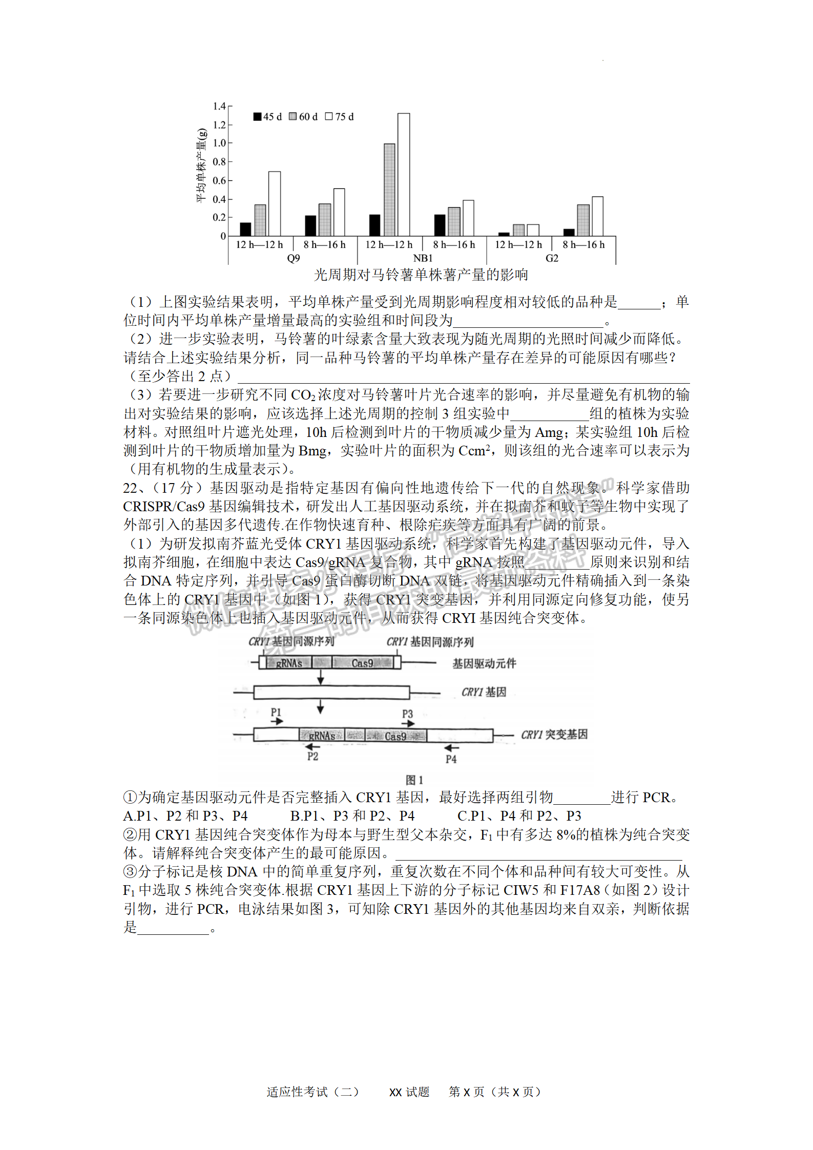 2022湖北襄陽五中適應性考試（二）生物試卷及答案