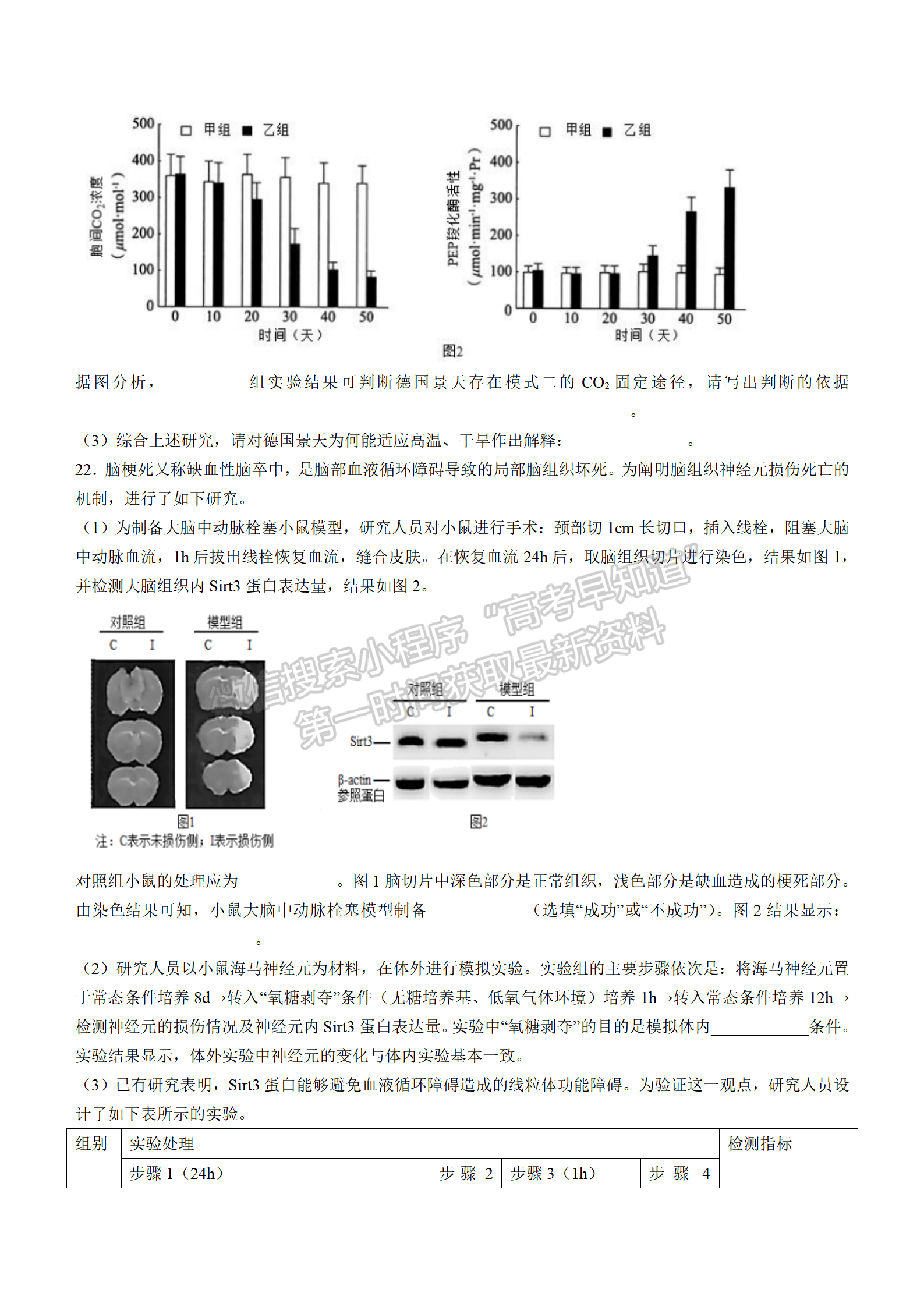 2022湖北襄陽(yáng)五中適應(yīng)性考試（三）生物試卷及答案