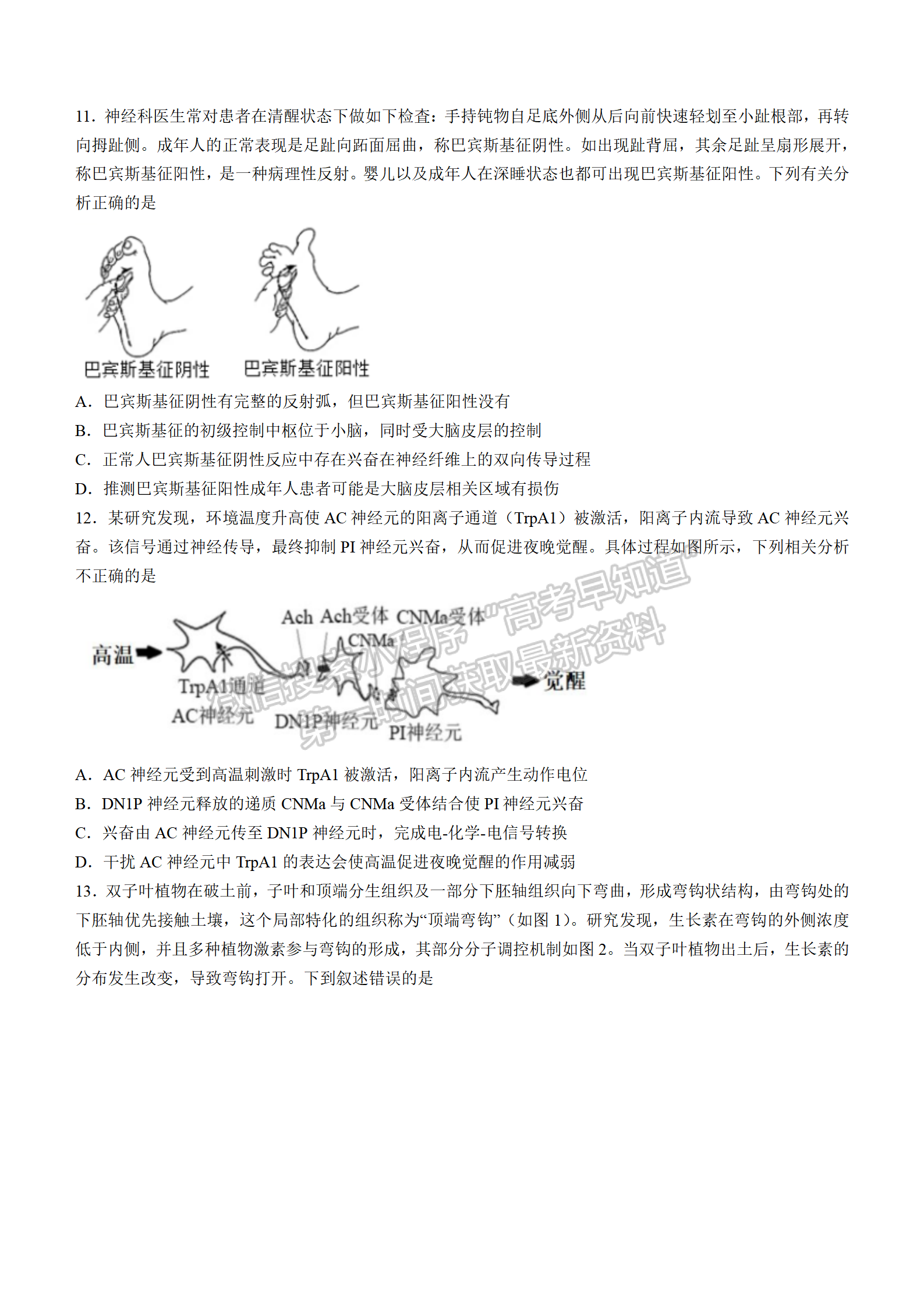 2022湖北襄陽五中適應性考試（三）生物試卷及答案