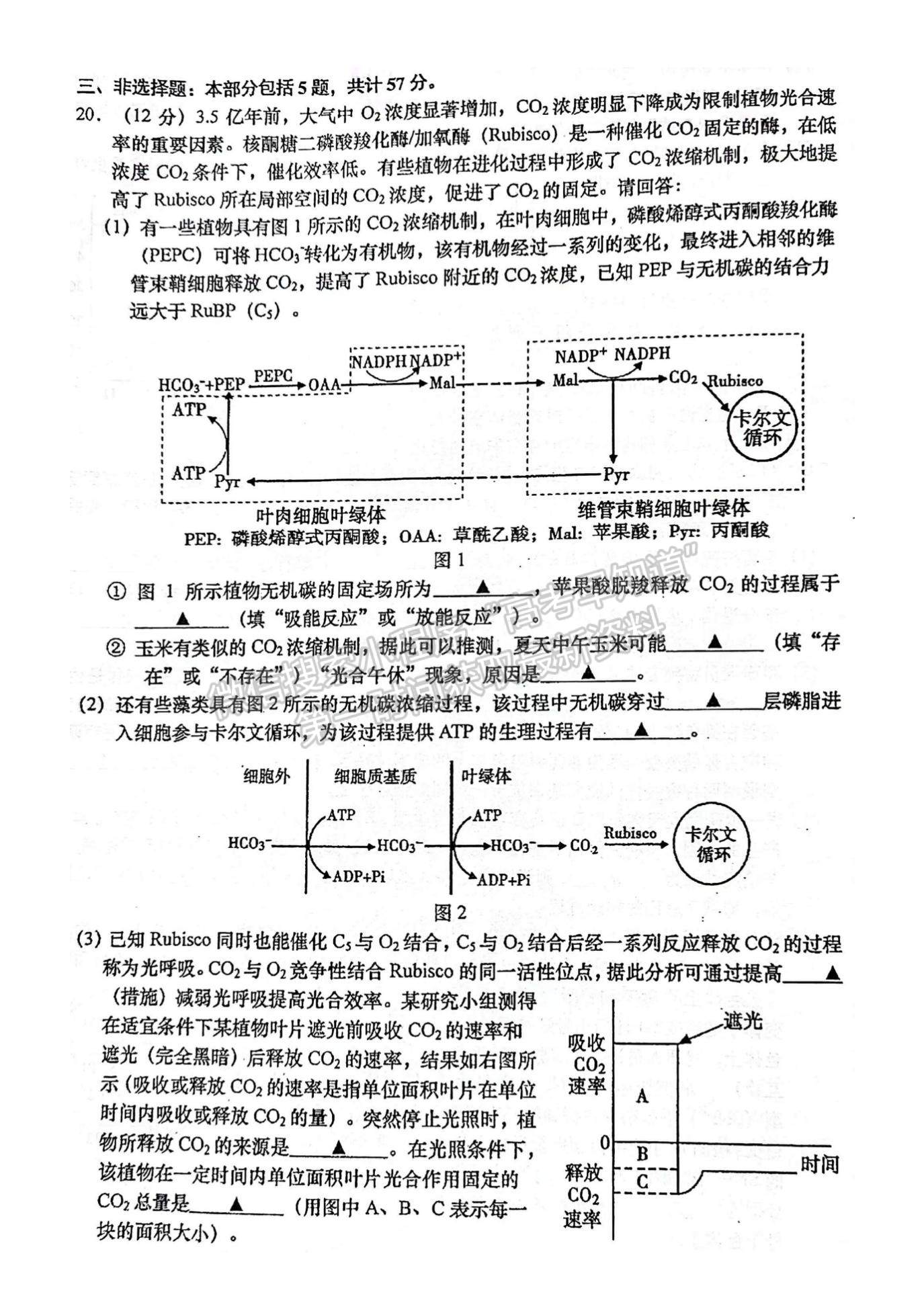 2022屆江蘇如皋市高三第三次適應(yīng)性考試（南通3.5模）生物試題及答案