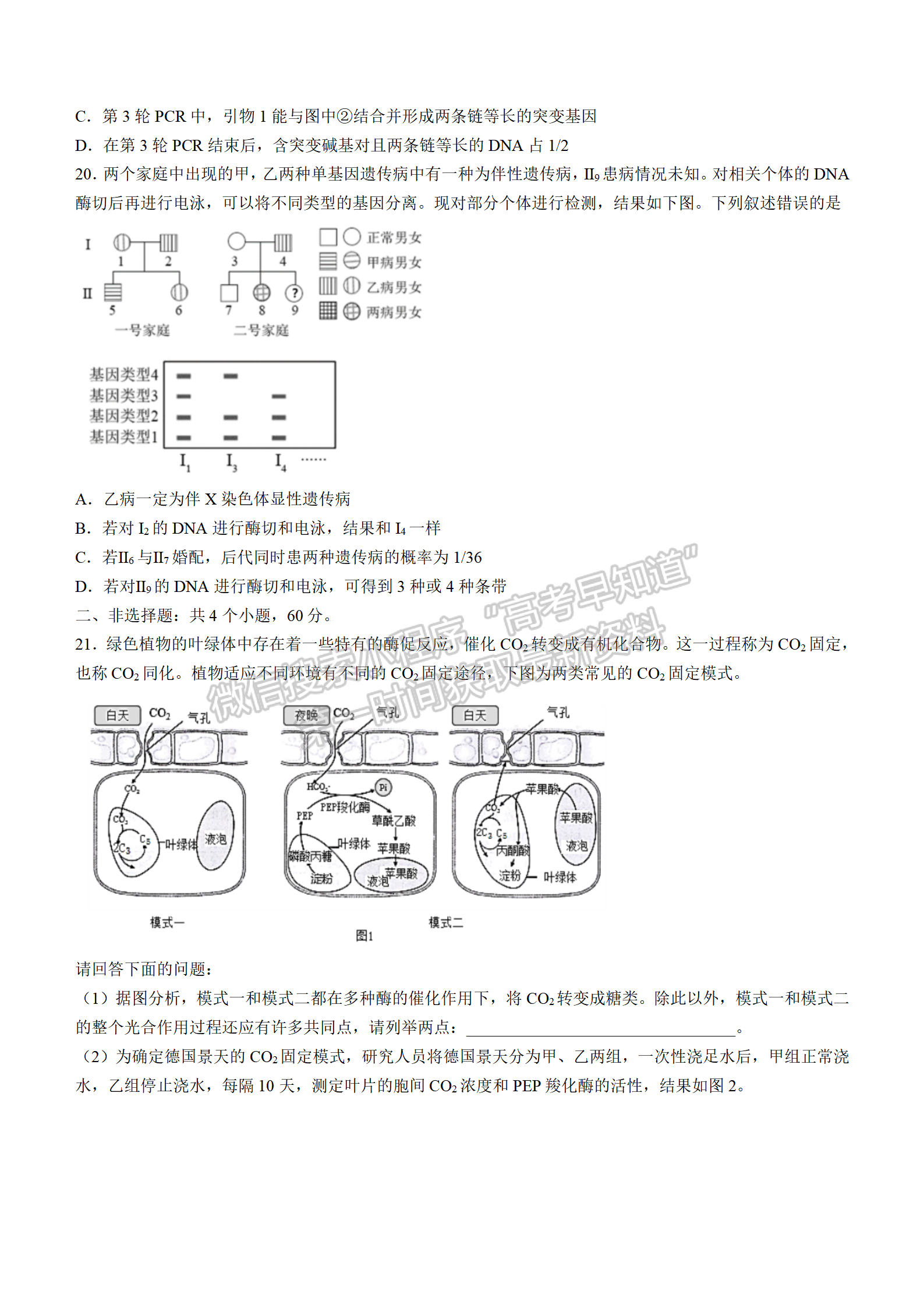 2022湖北襄陽(yáng)五中適應(yīng)性考試（三）生物試卷及答案