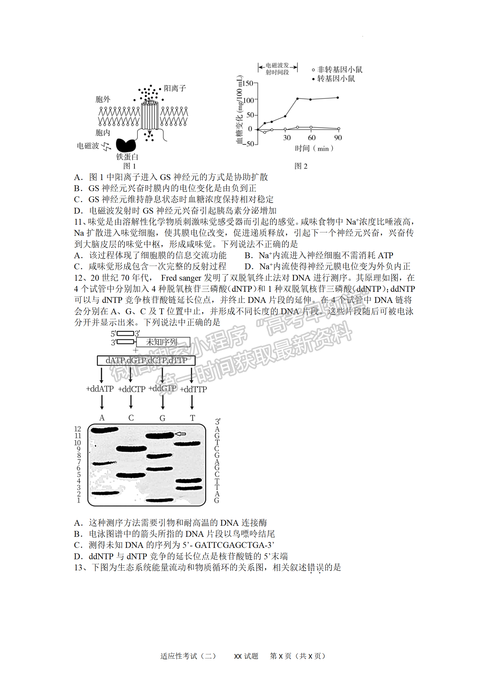 2022湖北襄陽五中適應性考試（二）生物試卷及答案