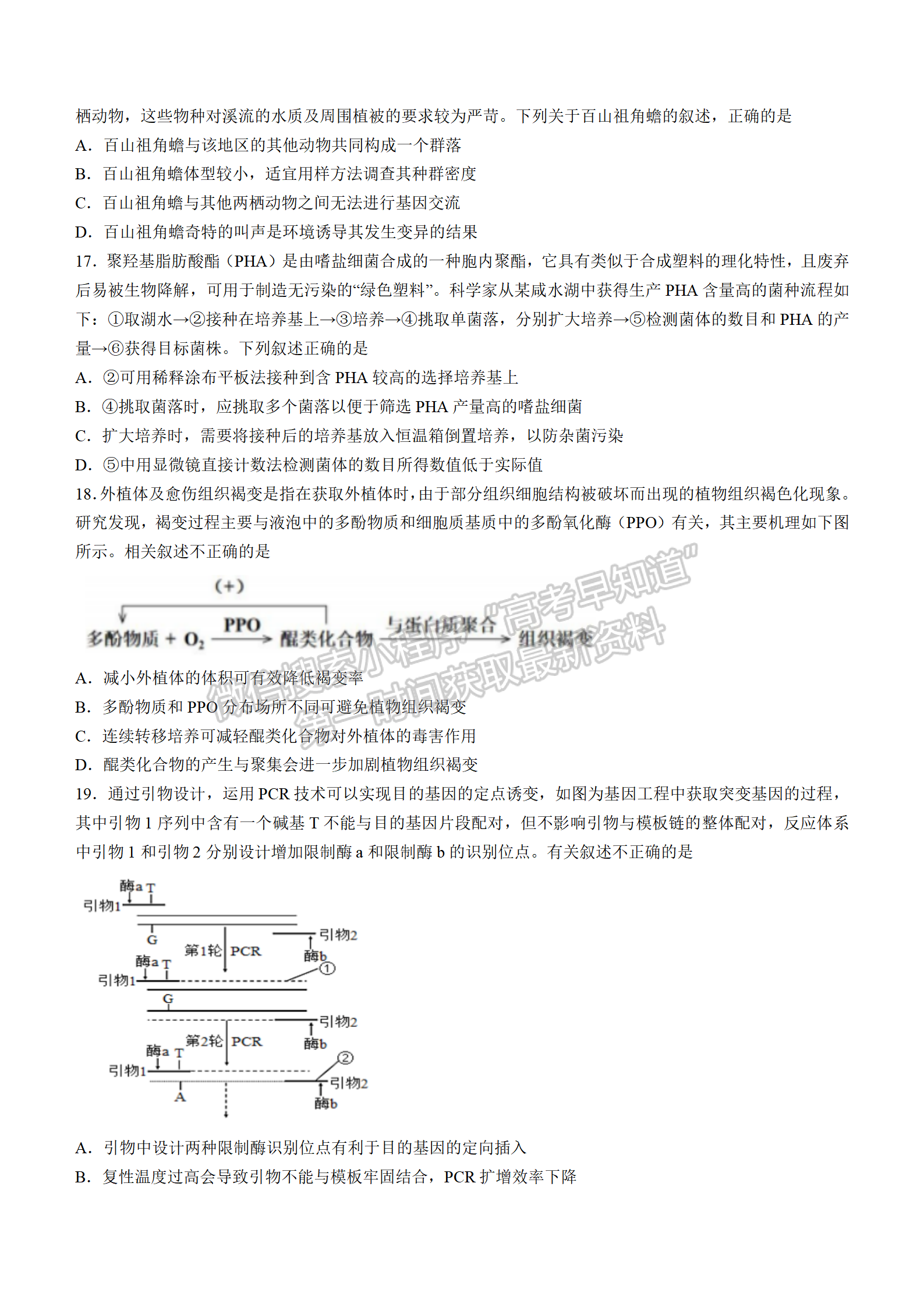 2022湖北襄陽(yáng)五中適應(yīng)性考試（三）生物試卷及答案