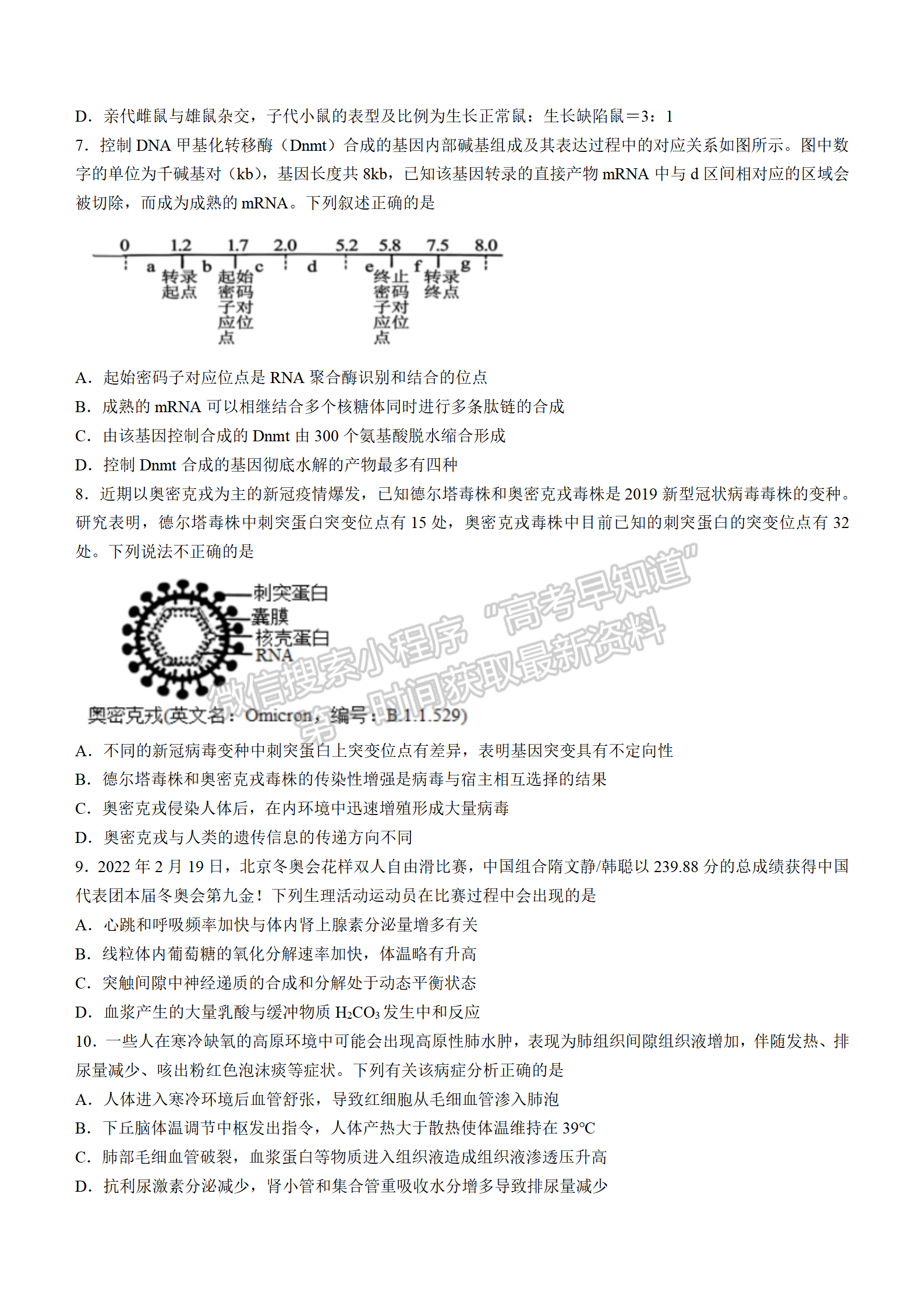 2022湖北襄陽五中適應(yīng)性考試（三）生物試卷及答案