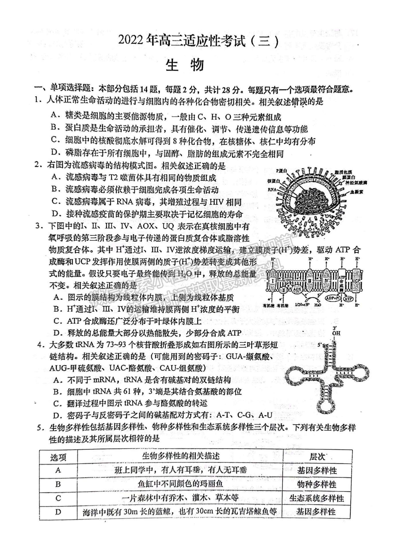 2022屆江蘇如皋市高三第三次適應性考試（南通3.5模）生物試題及答案