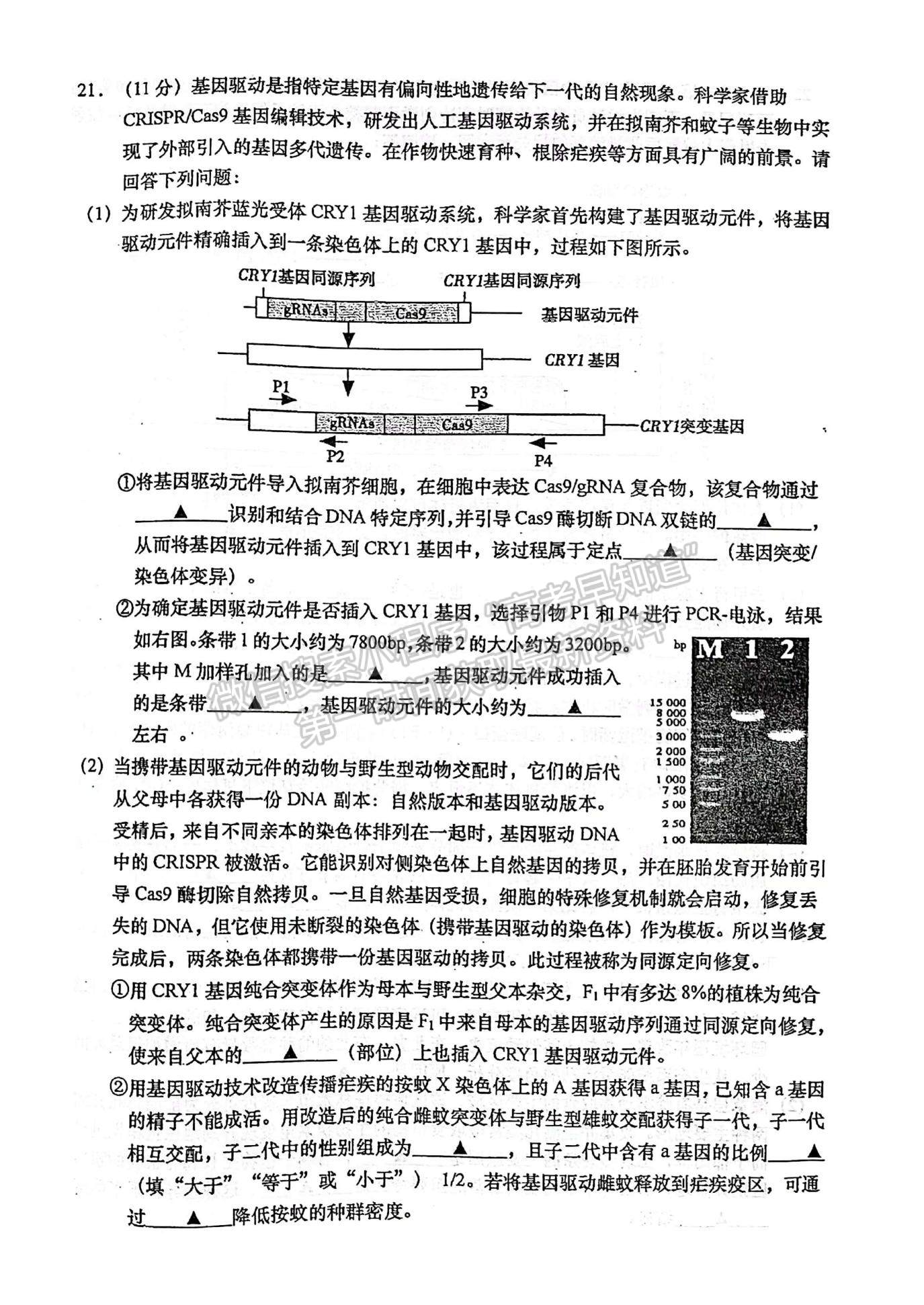 2022屆江蘇如皋市高三第三次適應(yīng)性考試（南通3.5模）生物試題及答案