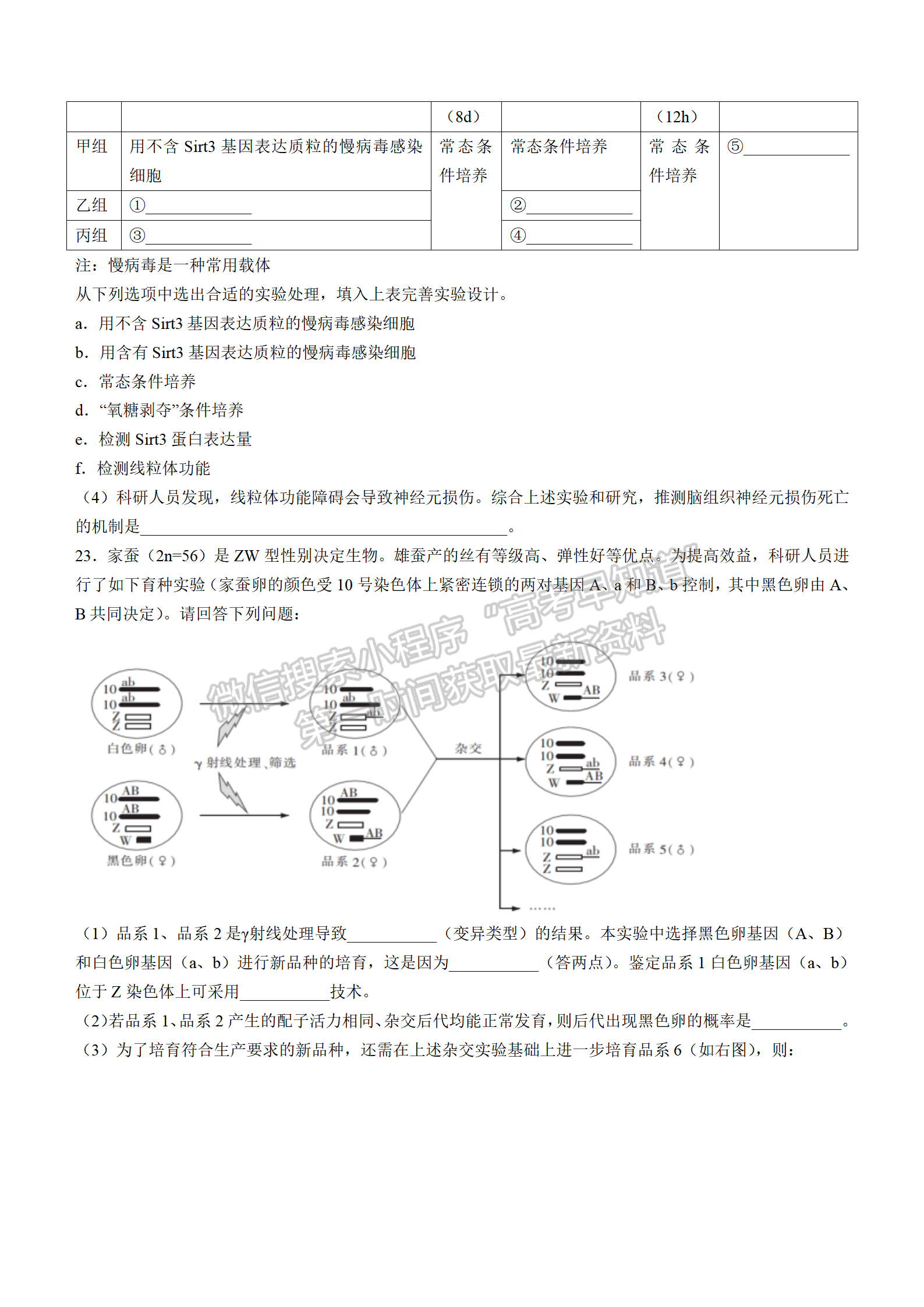 2022湖北襄陽(yáng)五中適應(yīng)性考試（三）生物試卷及答案