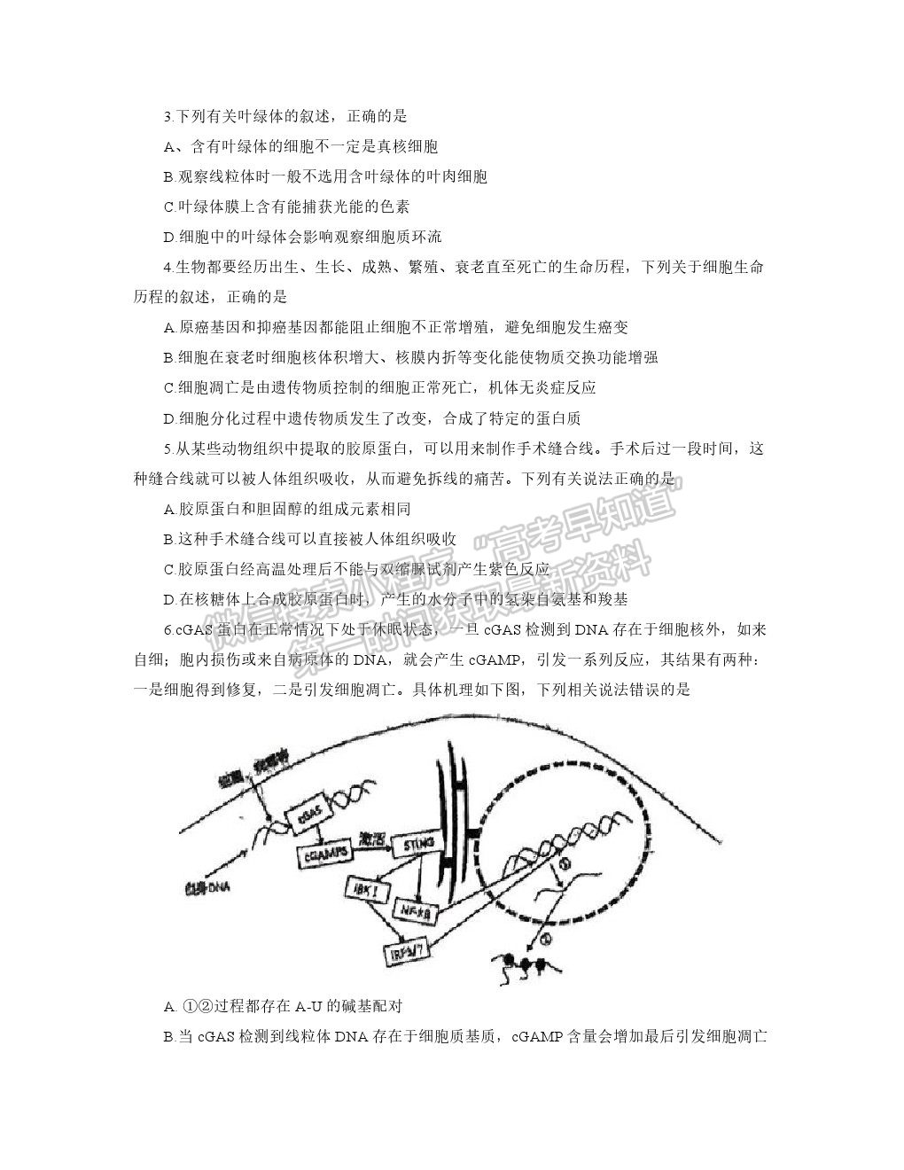 2022汕頭三模生物試題及參考答案