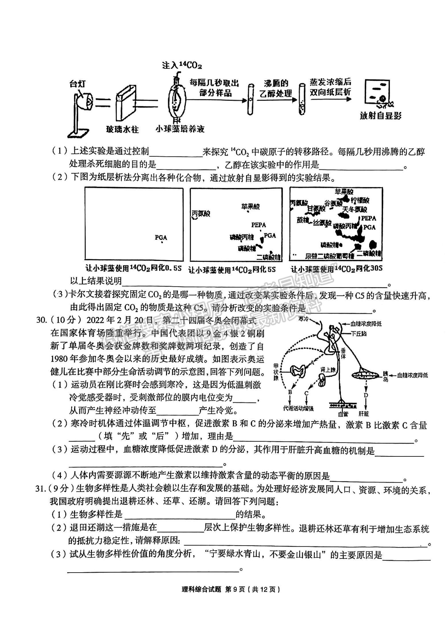 2022安徽合肥一中高三最后一卷理綜試卷及答案