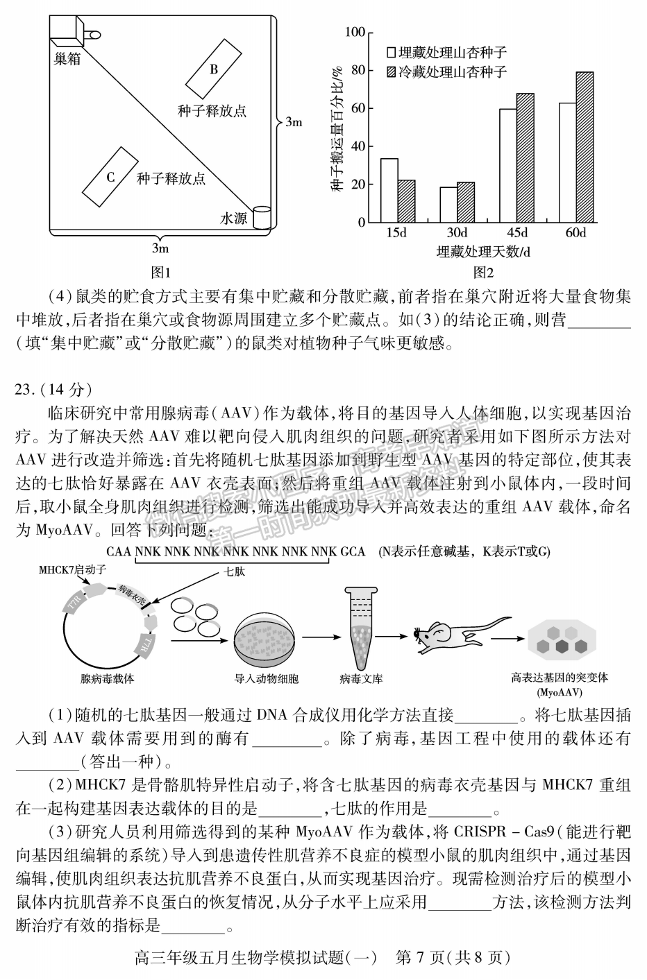 2022湖北武漢市五月模擬試題（一）生物試卷及答案