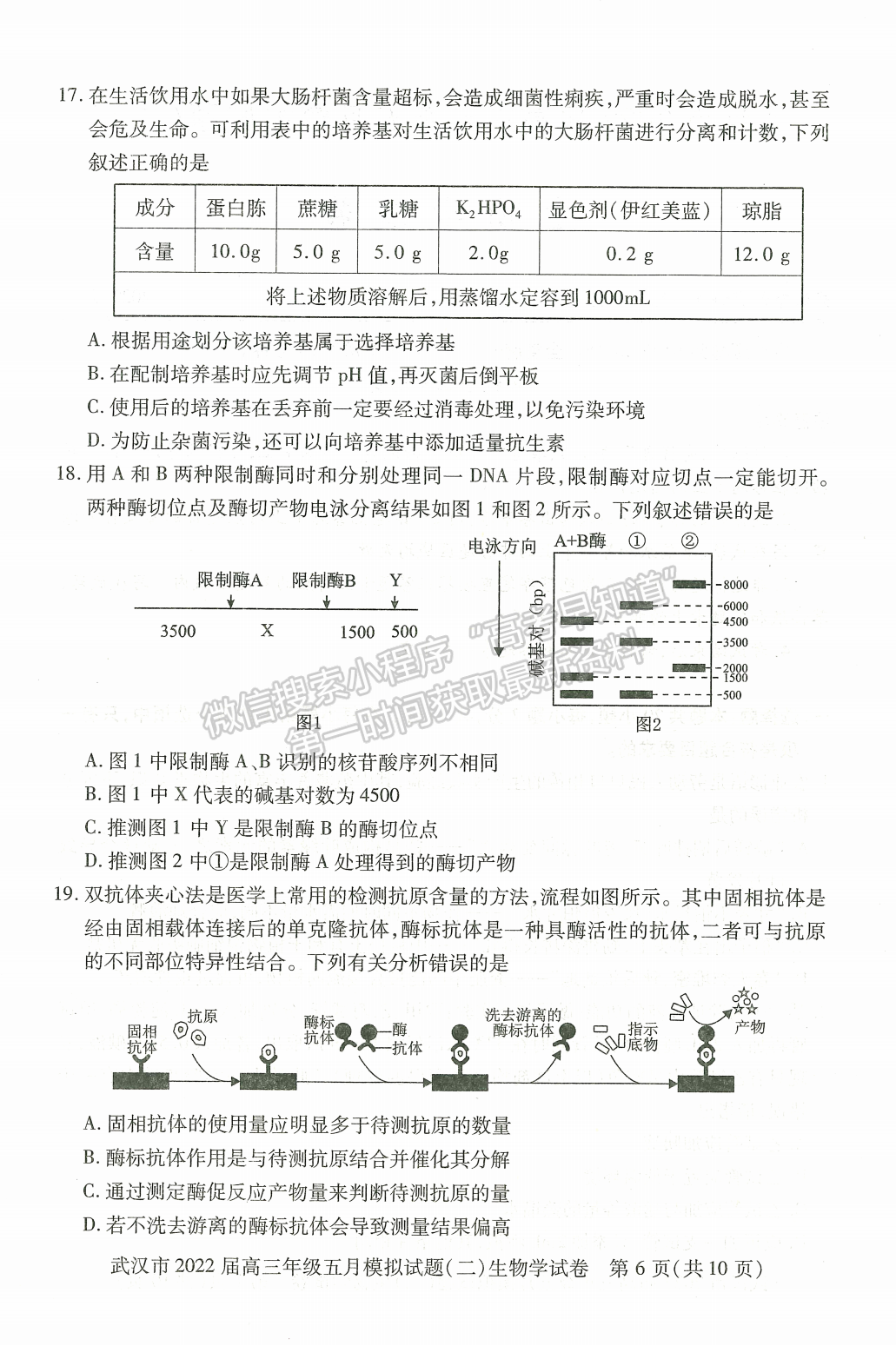 2022湖北武漢市五月模擬試題（二）生物試卷及答案