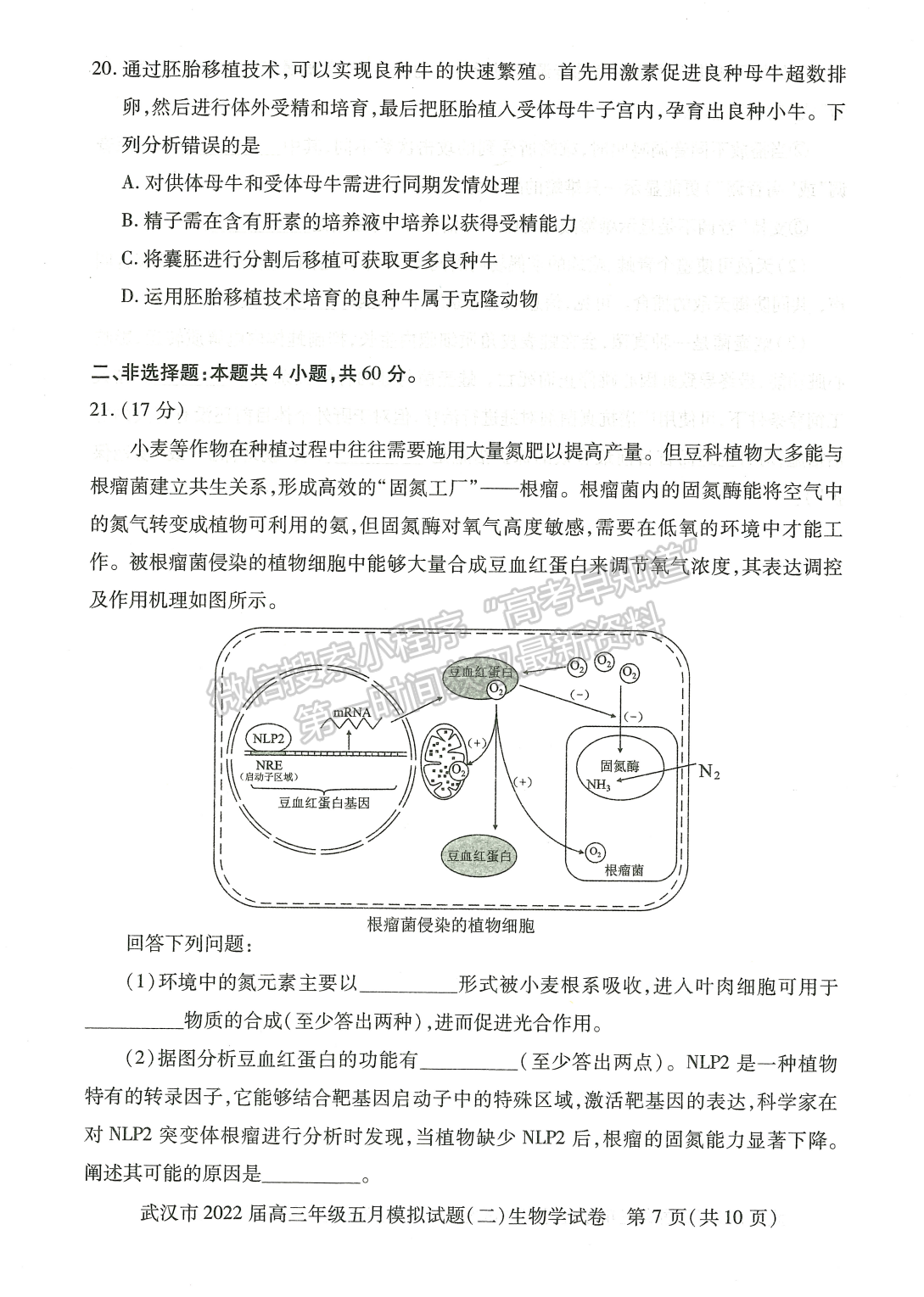 2022湖北武漢市五月模擬試題（二）生物試卷及答案