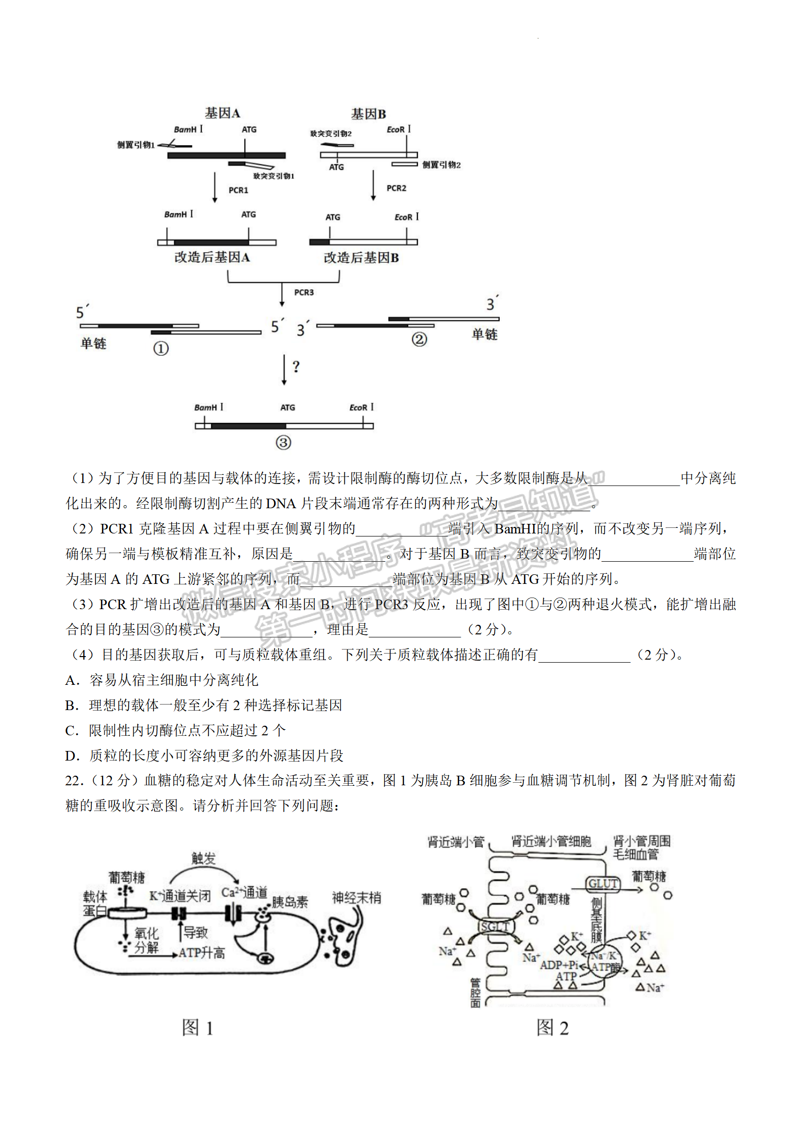 2022屆江蘇常州市高三5月模擬考生物試題及答案