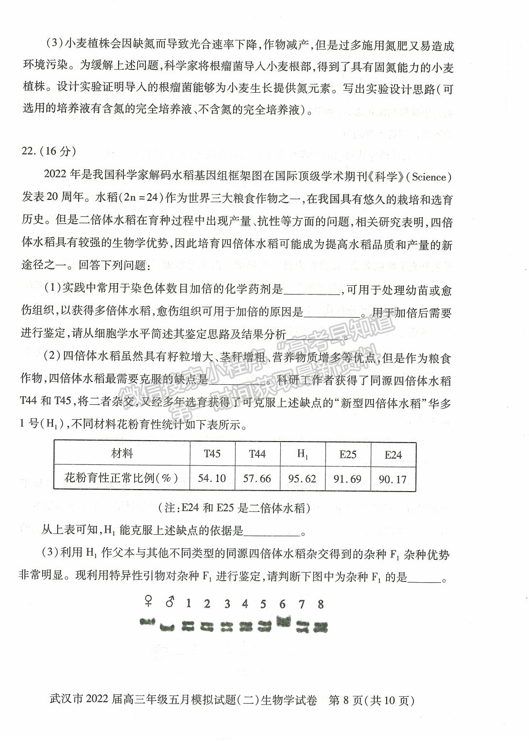 2022湖北武漢市五月模擬試題（二）生物試卷及答案