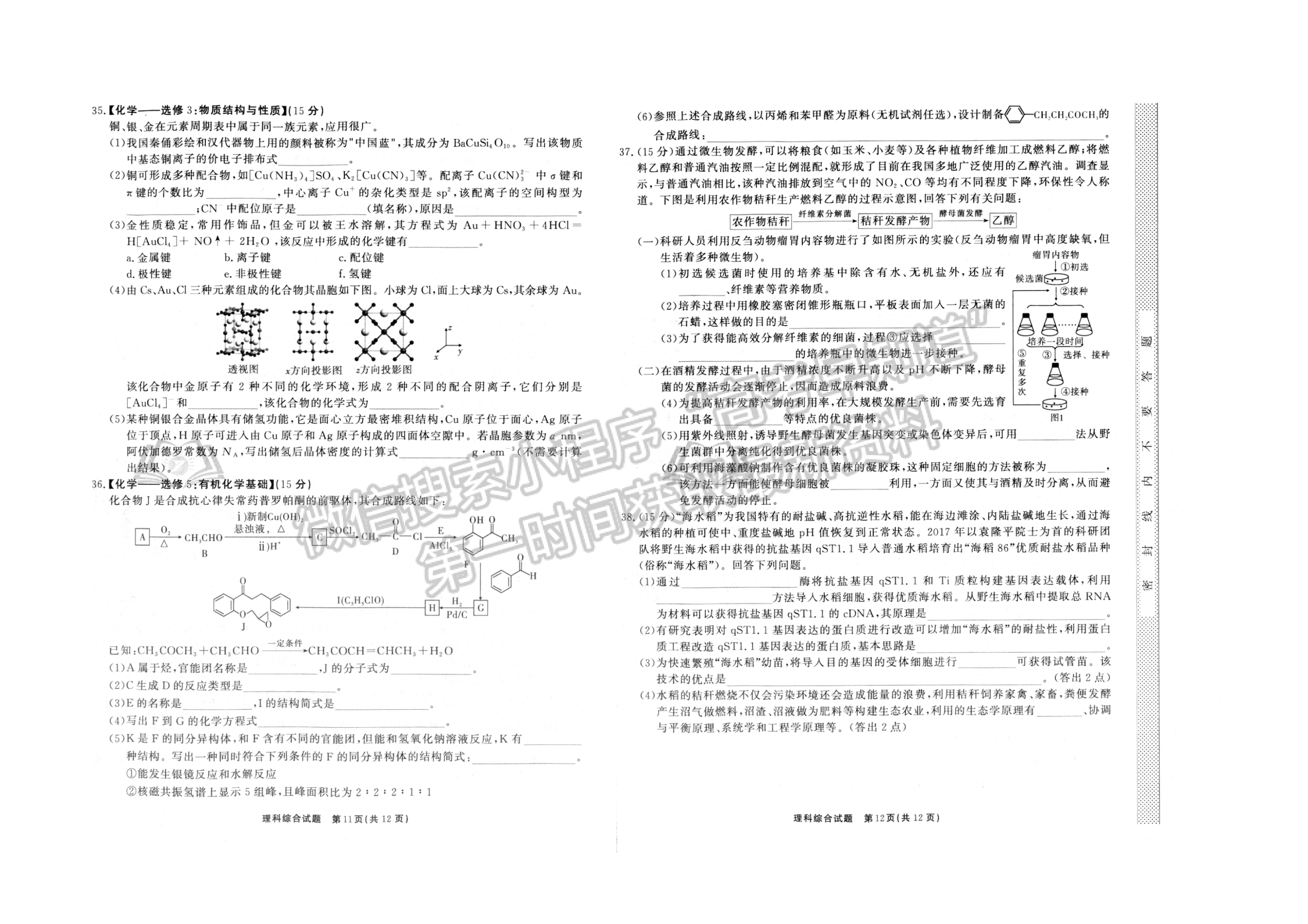 2022安徽合肥八中最后一卷理綜試卷及答案