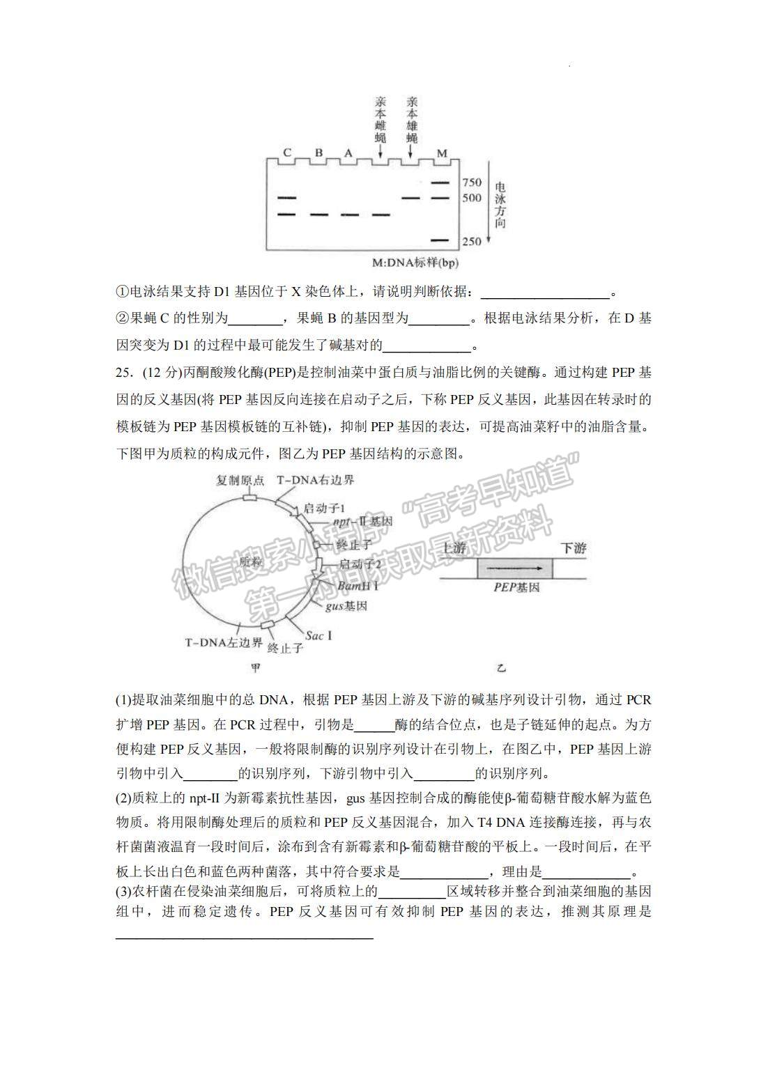 2022山東濰坊三模生物試題及參考答案