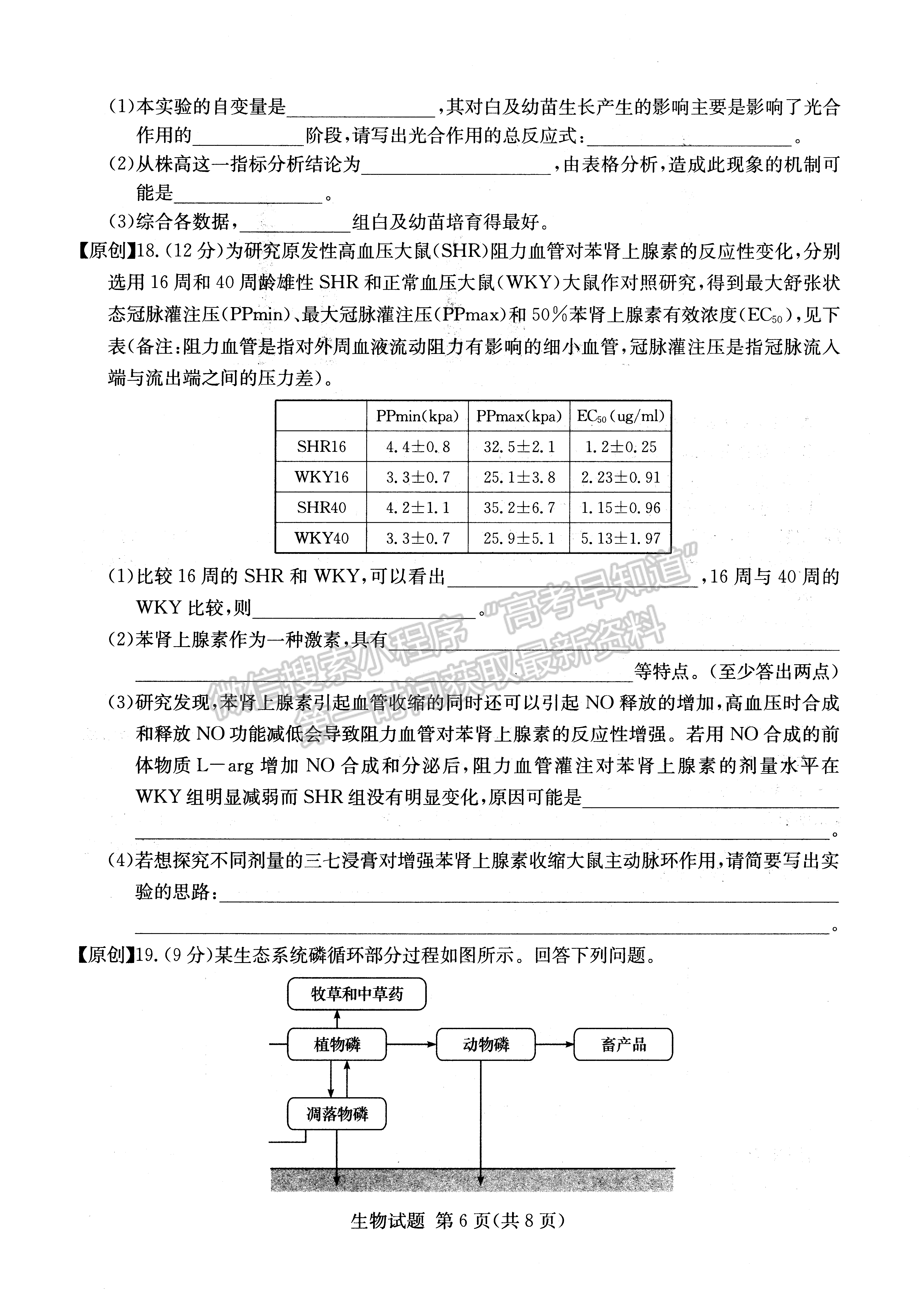 2022年湖南學(xué)考（四大名校猜題卷A）生物試卷及答案