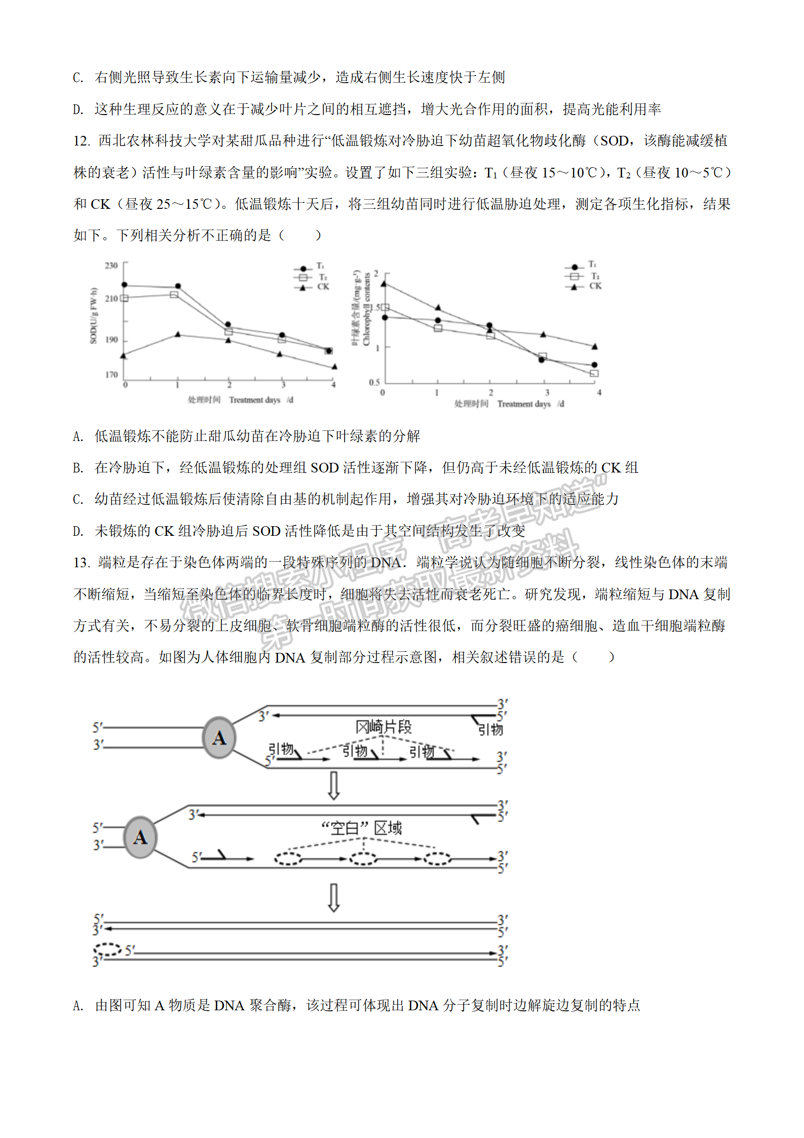 2022湖北襄陽四中適應(yīng)性考試生物試卷及答案