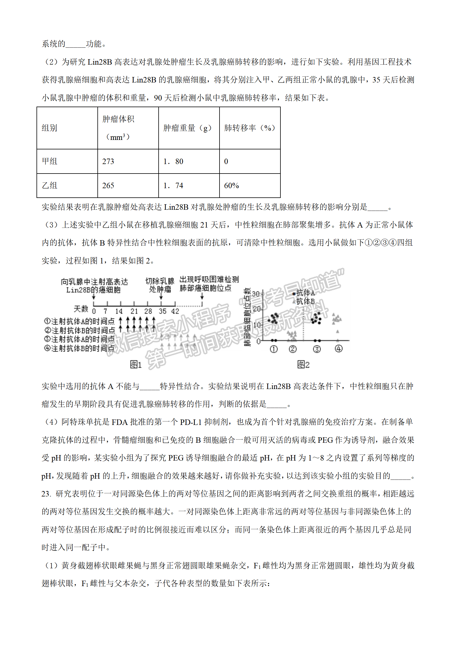 2022湖北襄陽四中適應(yīng)性考試生物試卷及答案