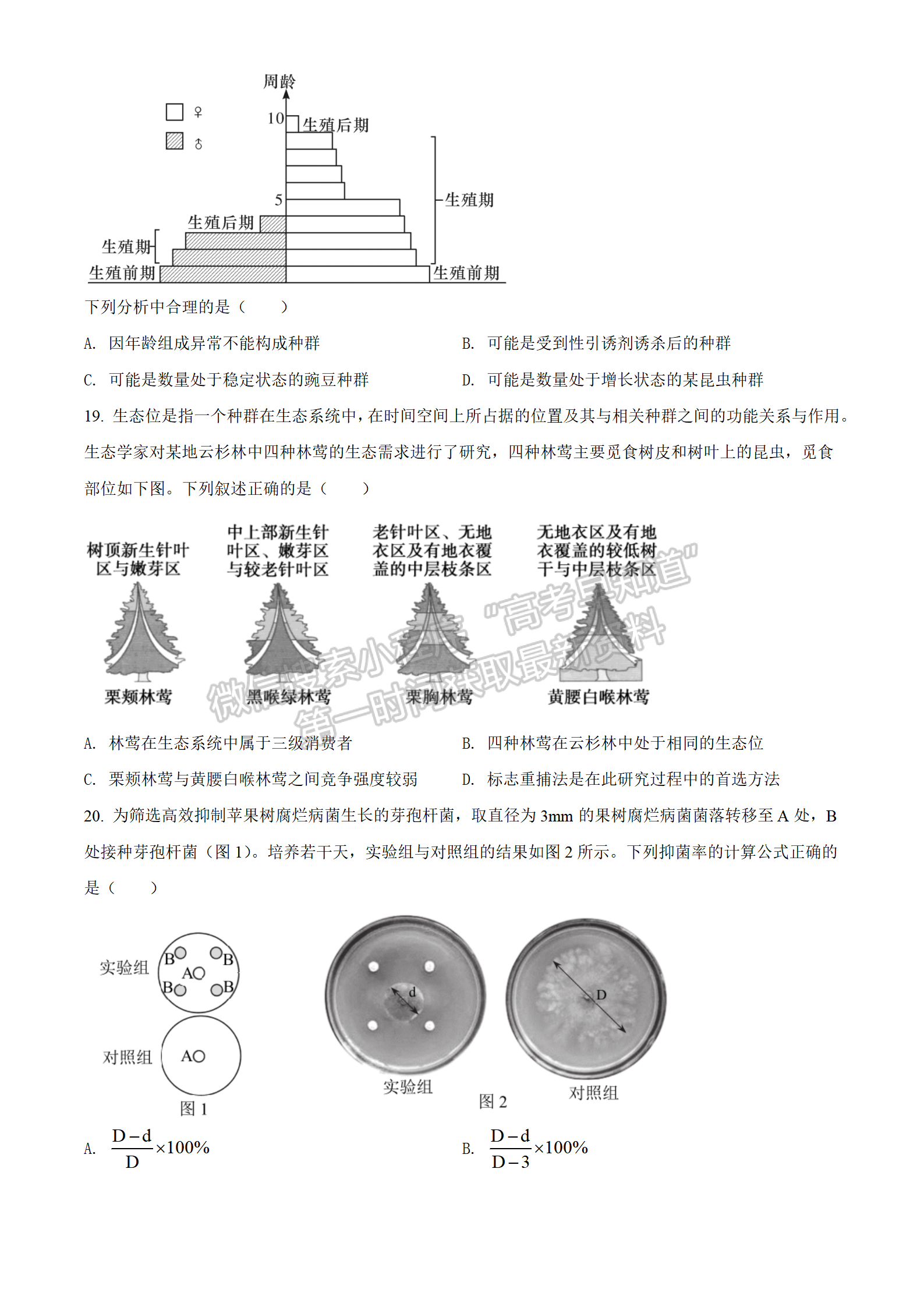 2022湖北襄陽(yáng)四中適應(yīng)性考試生物試卷及答案