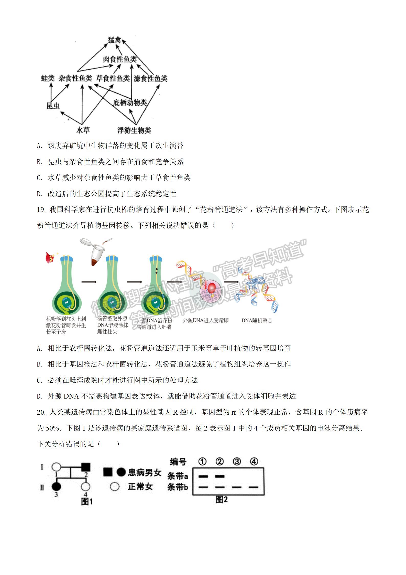 2022湖北黃岡中學(xué)三模生物試卷及答案