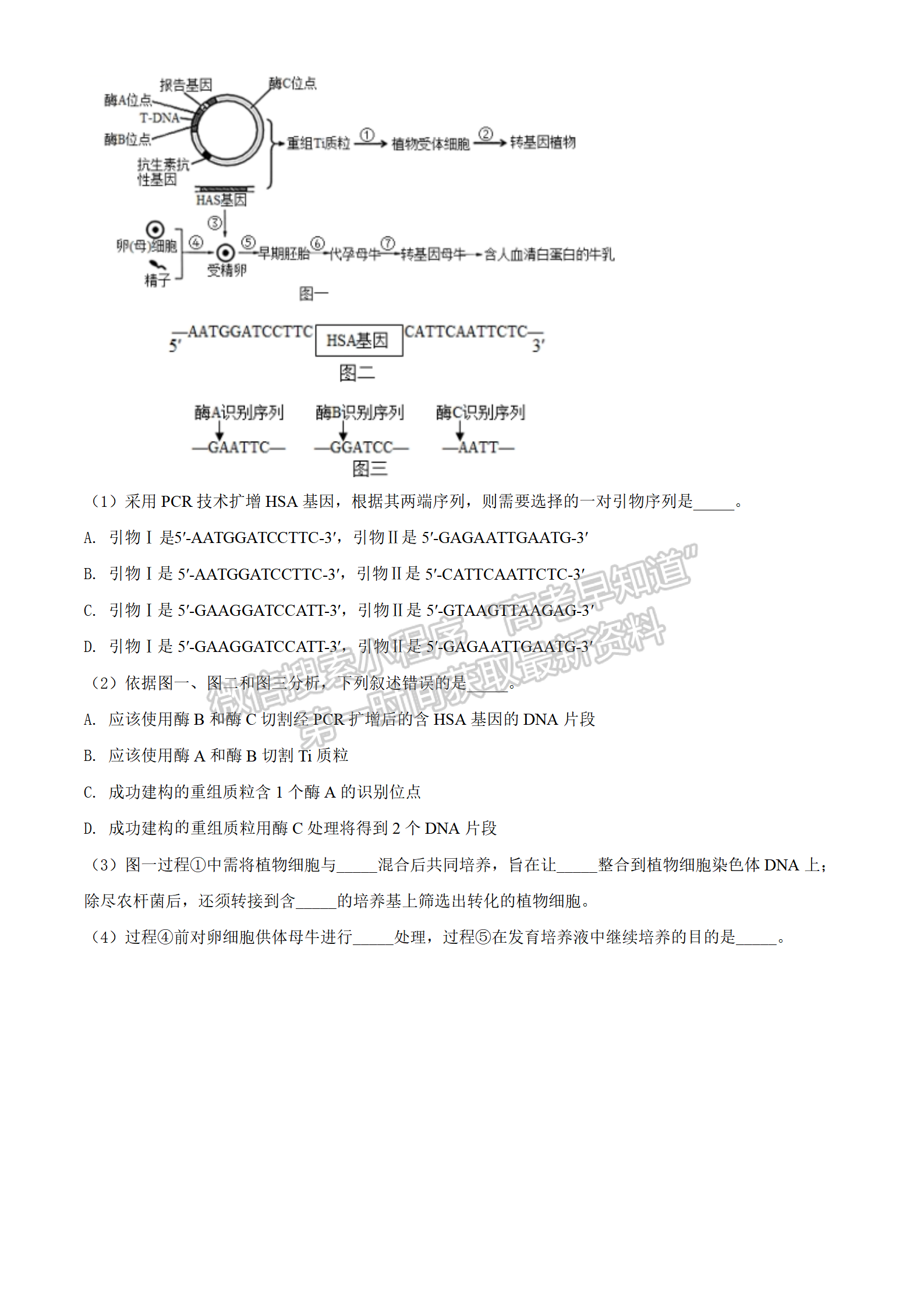 2022湖北襄陽四中適應(yīng)性考試生物試卷及答案