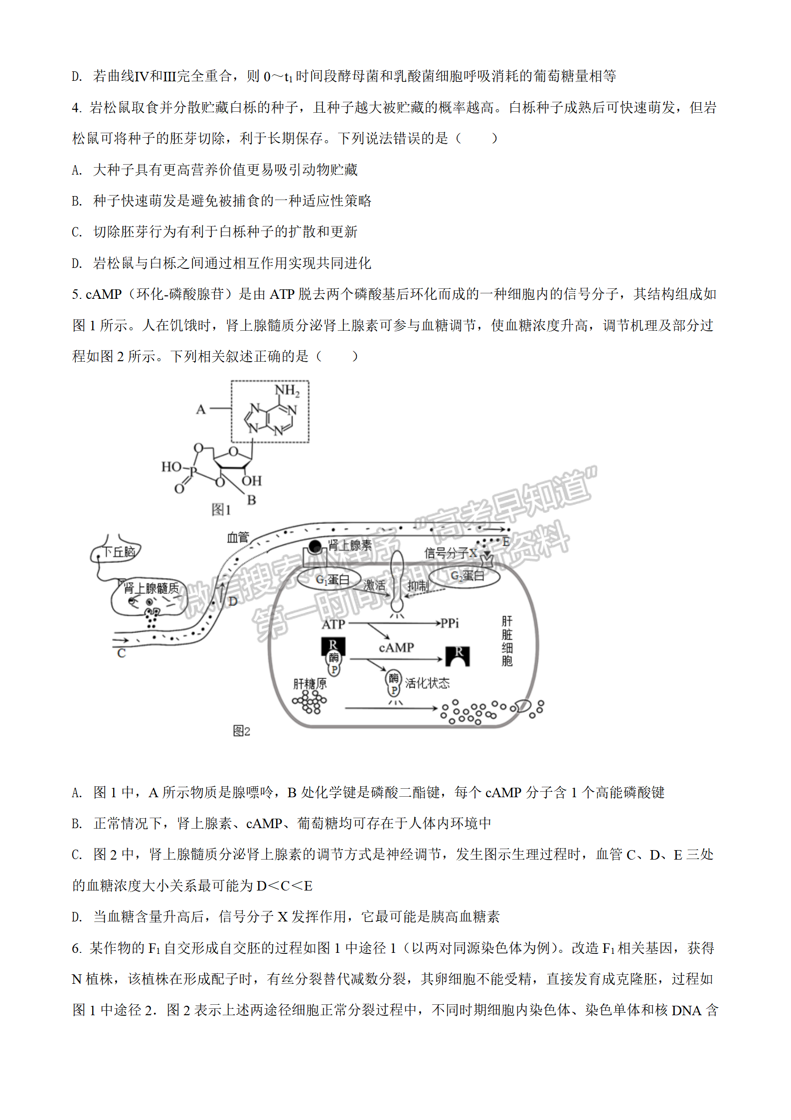 2022湖北襄陽四中適應(yīng)性考試生物試卷及答案