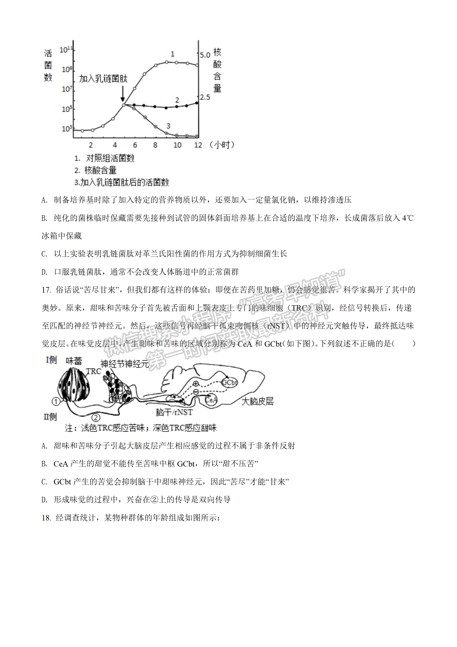 2022湖北襄陽四中適應(yīng)性考試生物試卷及答案