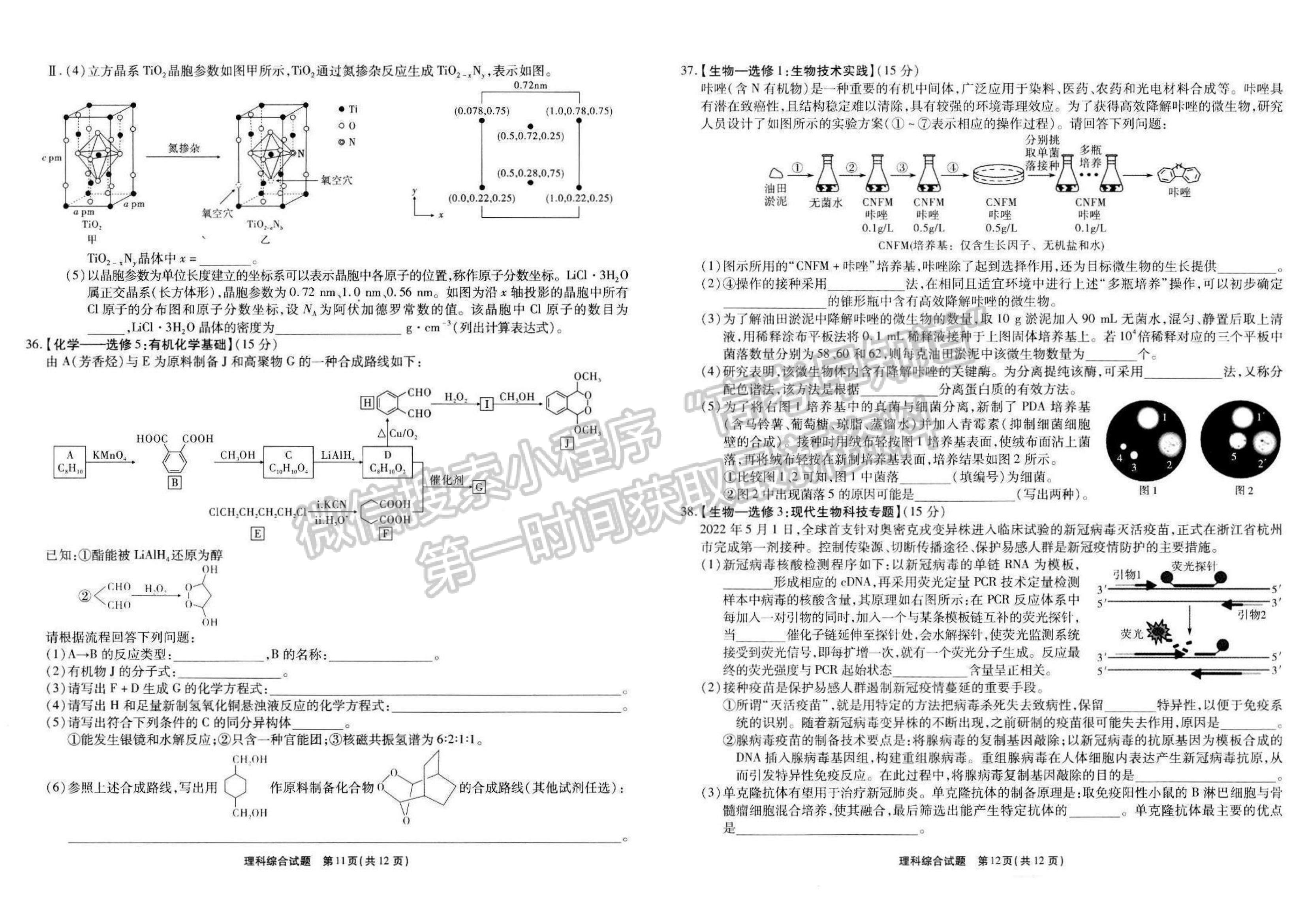 2022安徽合肥168中學(xué)最后一卷理綜試卷及答案