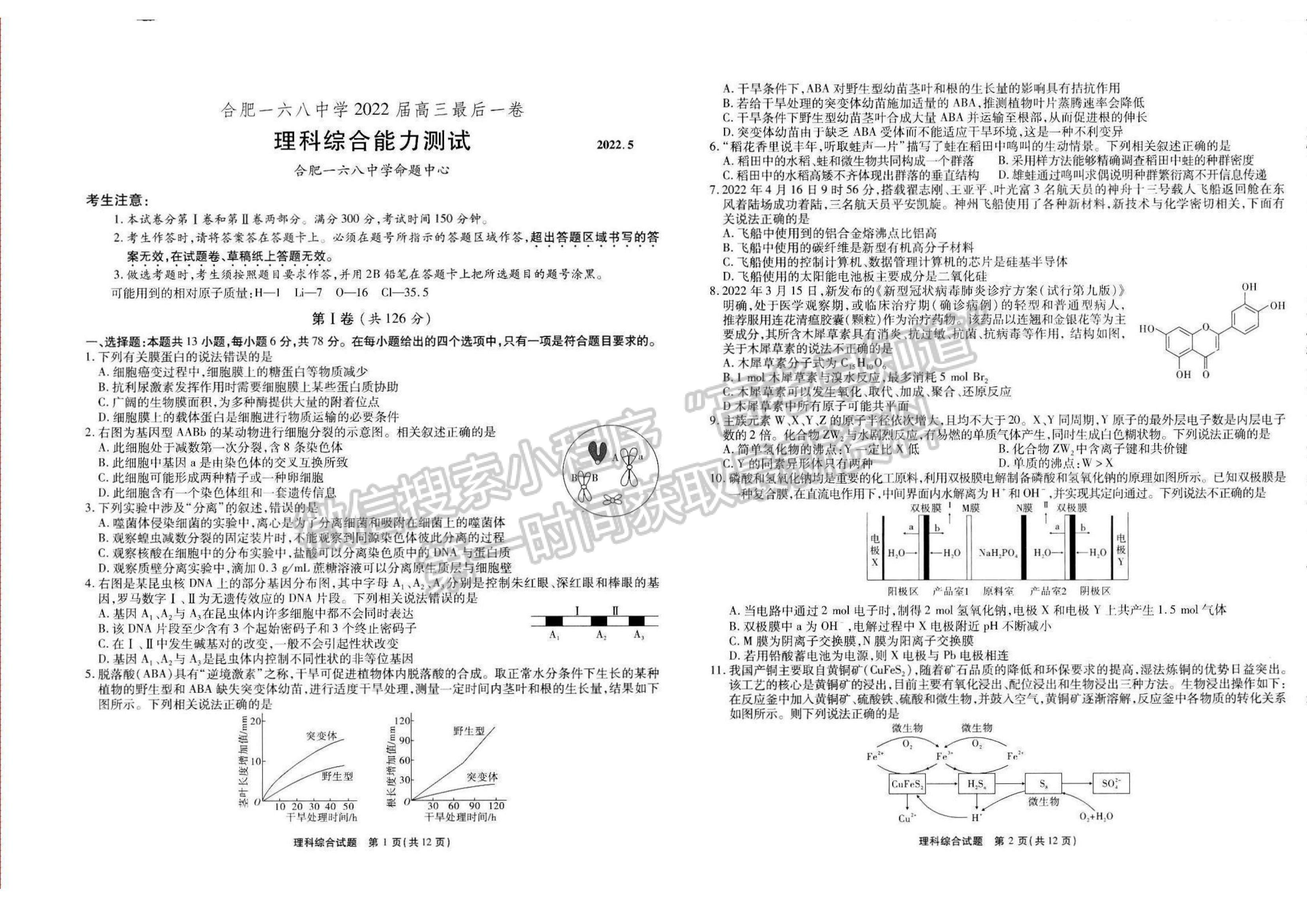 2022安徽合肥168中學最后一卷理綜試卷及答案