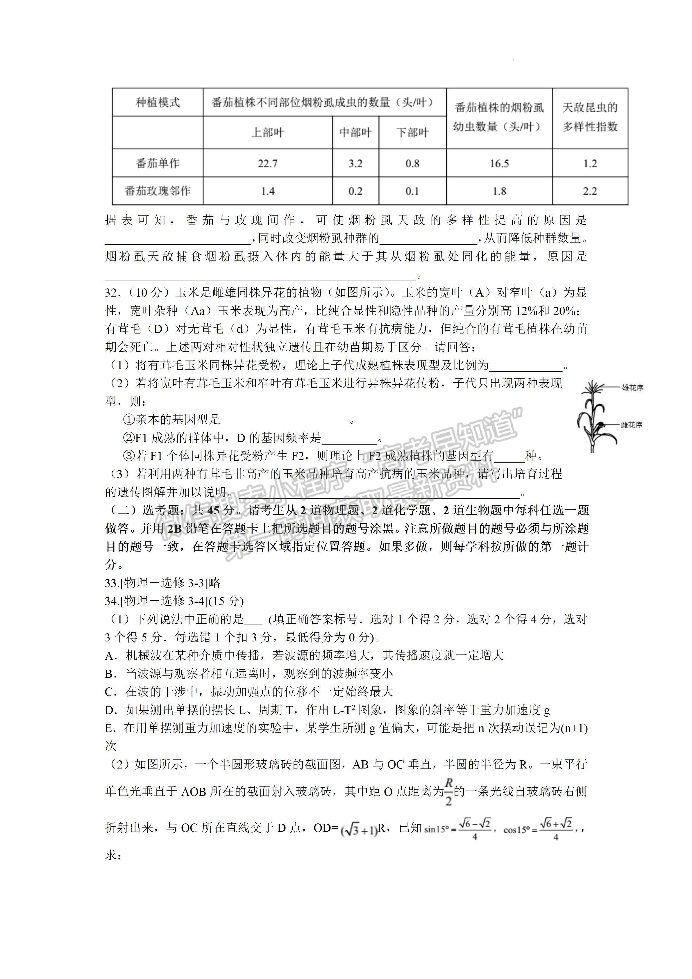 2022 年普通高等學(xué)校招生全國統(tǒng)一考試（熱身考試）理科綜合試題及答案