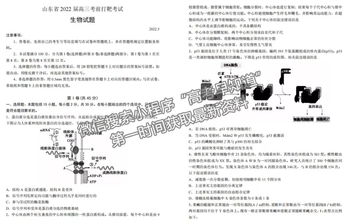 2022山東省實(shí)驗(yàn)中學(xué)高三模擬考試（5月）生物試題及參考答案