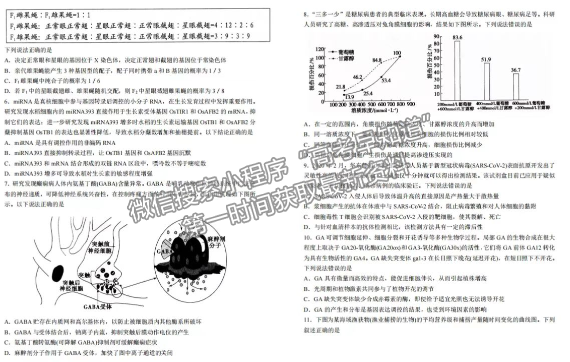 2022山東省實(shí)驗(yàn)中學(xué)高三模擬考試（5月）生物試題及參考答案