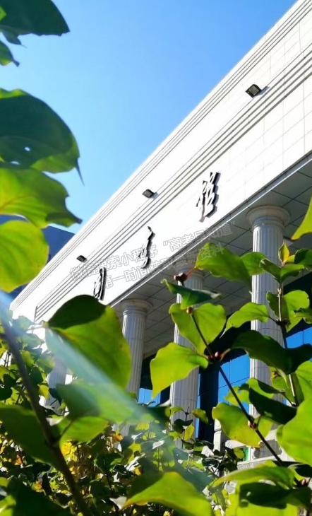 哈尔滨石油学院2022年招生计划